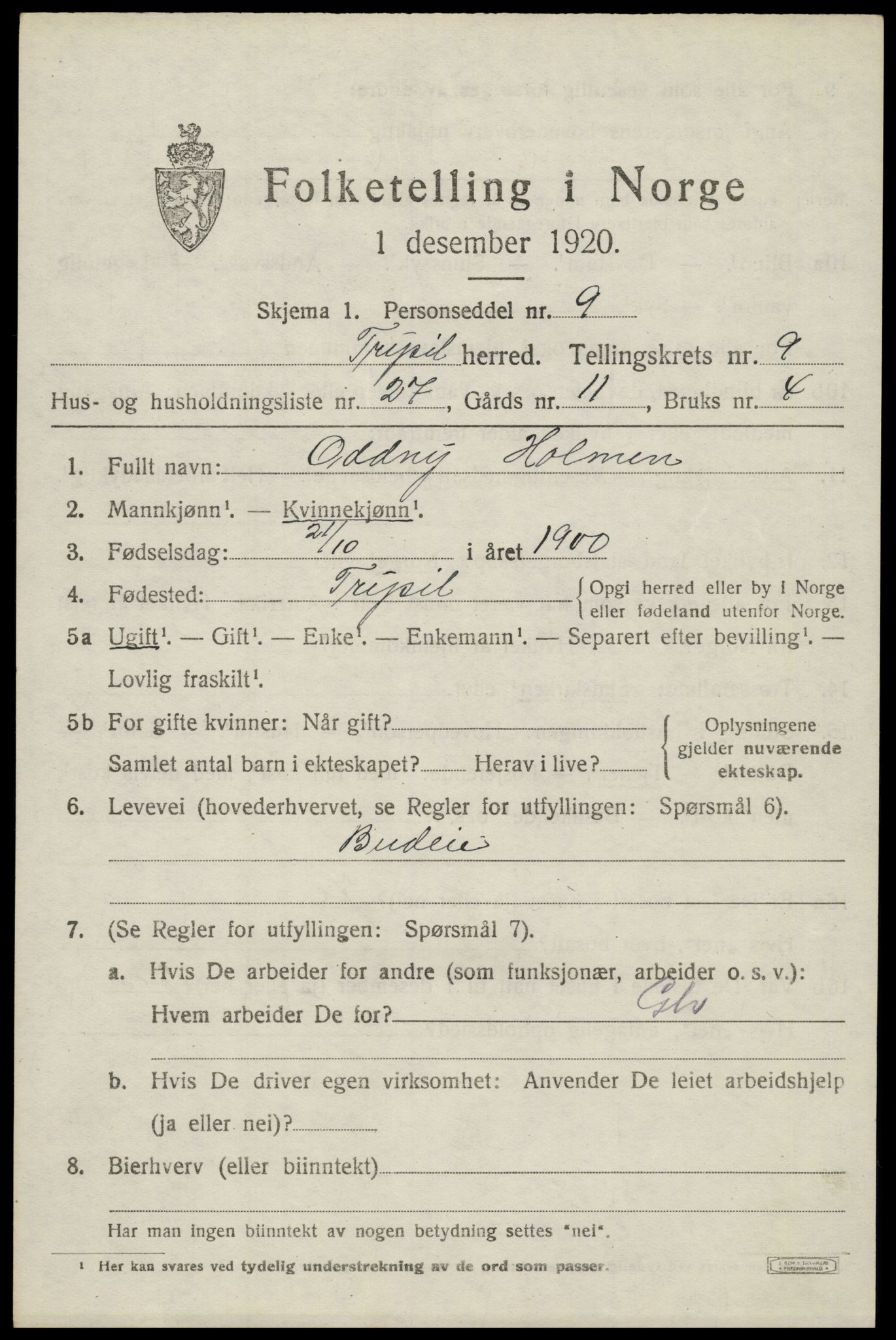 SAH, 1920 census for Trysil, 1920, p. 6855