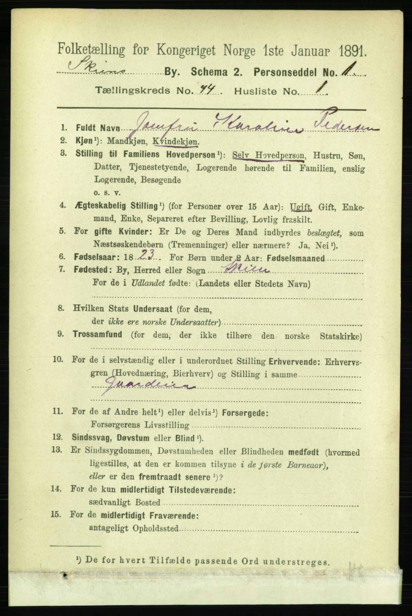 RA, 1891 census for 0806 Skien, 1891, p. 8769