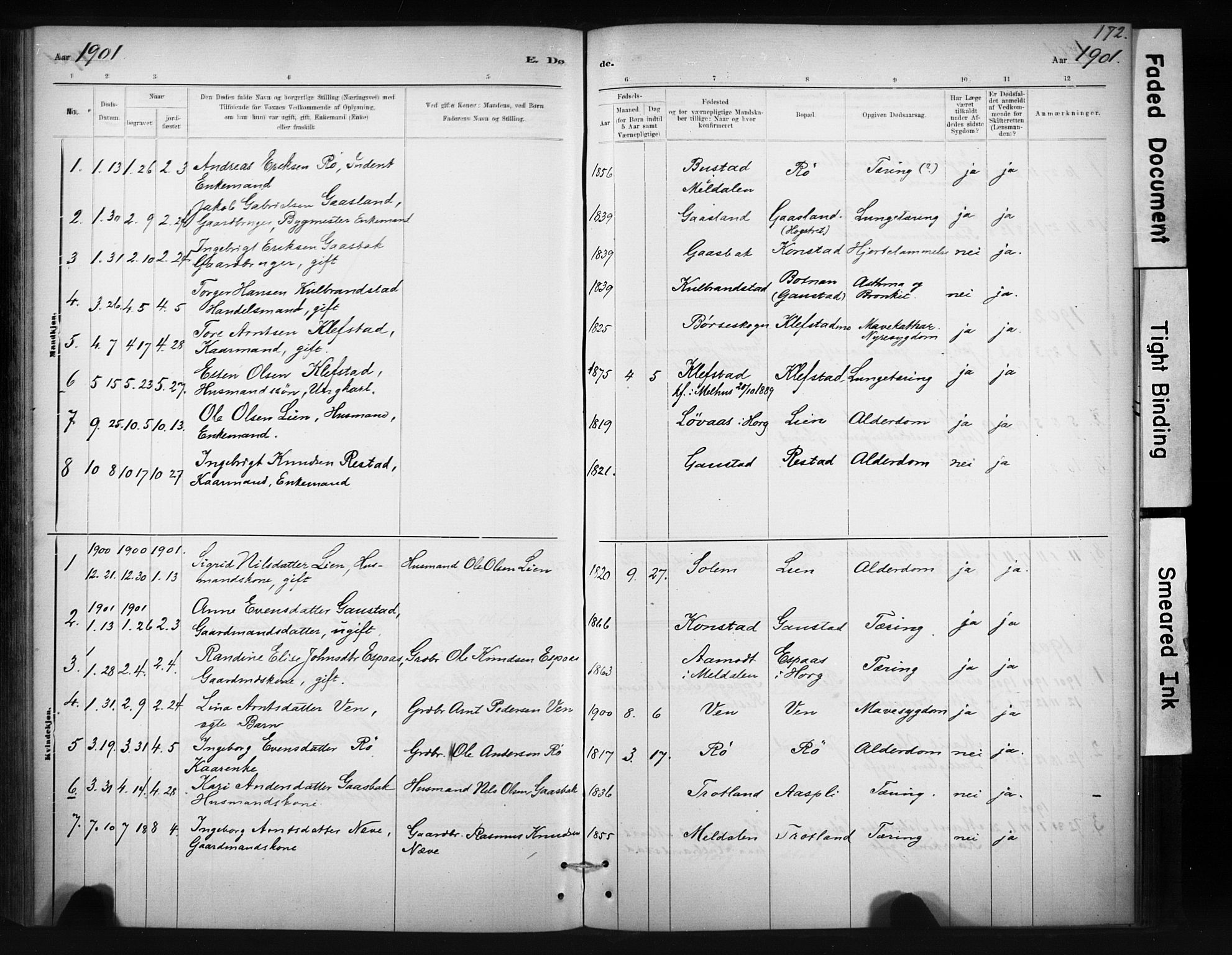 Ministerialprotokoller, klokkerbøker og fødselsregistre - Sør-Trøndelag, SAT/A-1456/694/L1127: Parish register (official) no. 694A01, 1887-1905, p. 172
