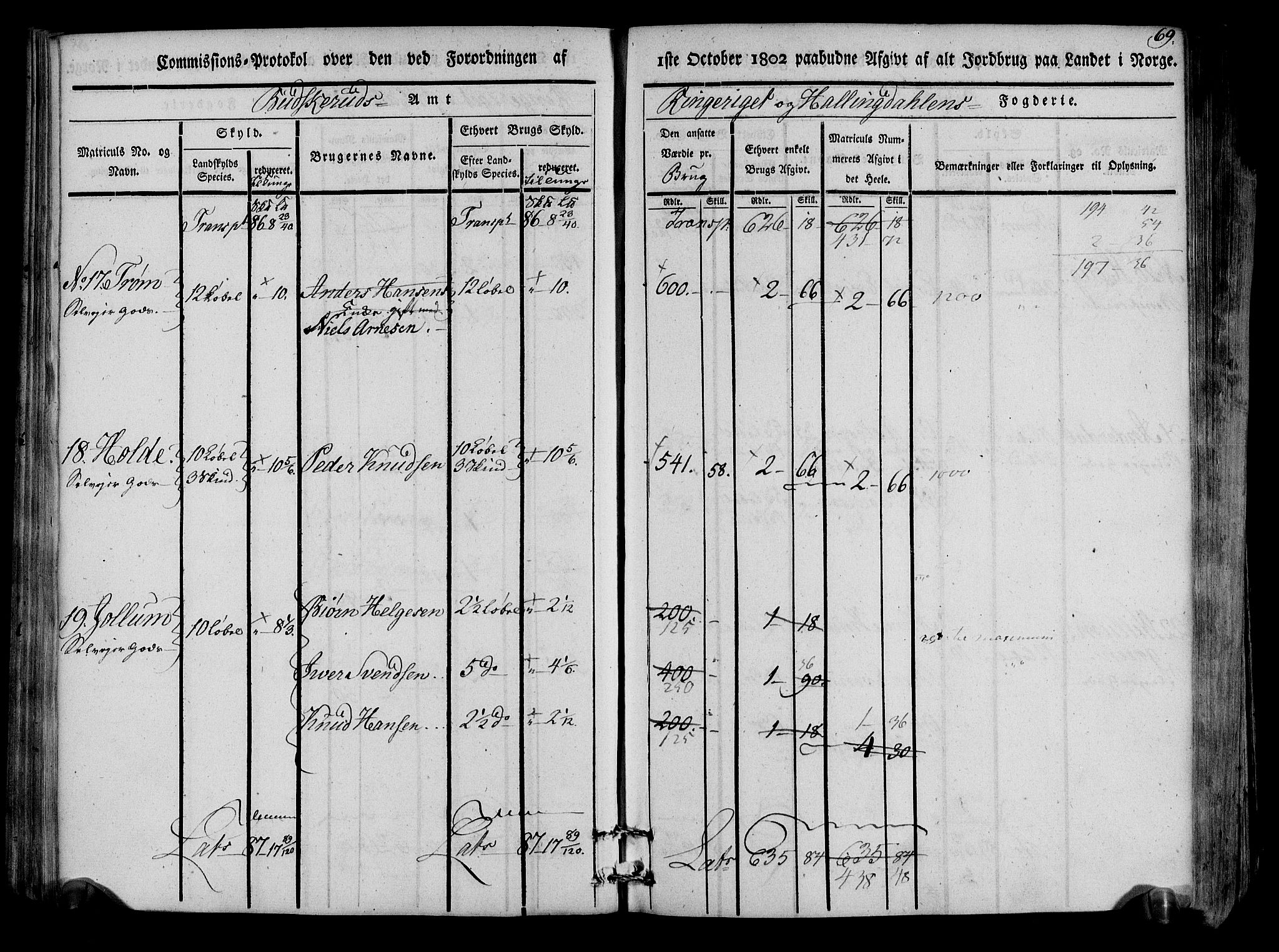 Rentekammeret inntil 1814, Realistisk ordnet avdeling, RA/EA-4070/N/Ne/Nea/L0047: Ringerike og Hallingdal fogderi. Kommisjonsprotokoll for Nes prestegjeld, 1803, p. 72