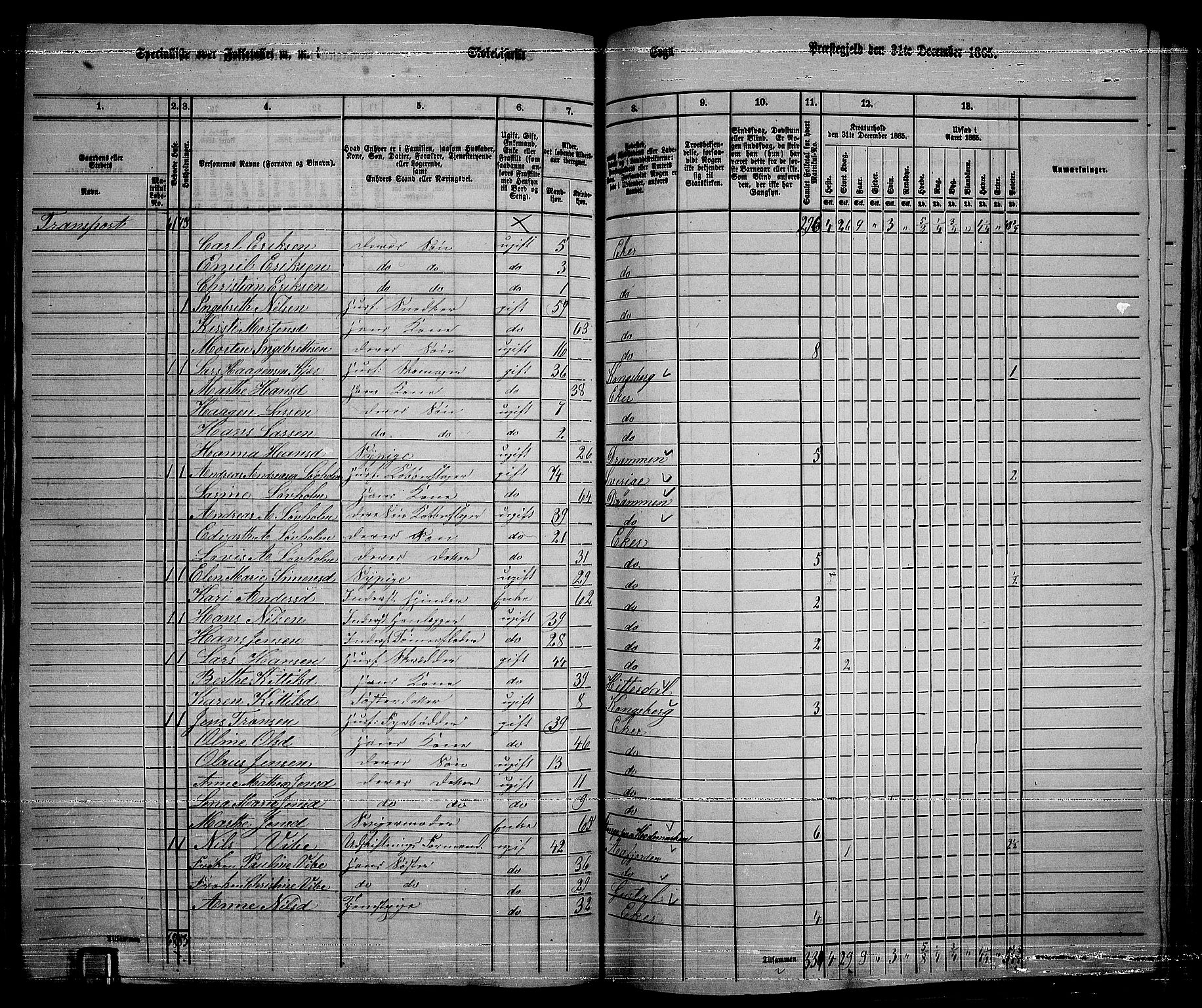 RA, 1865 census for Eiker, 1865, p. 208