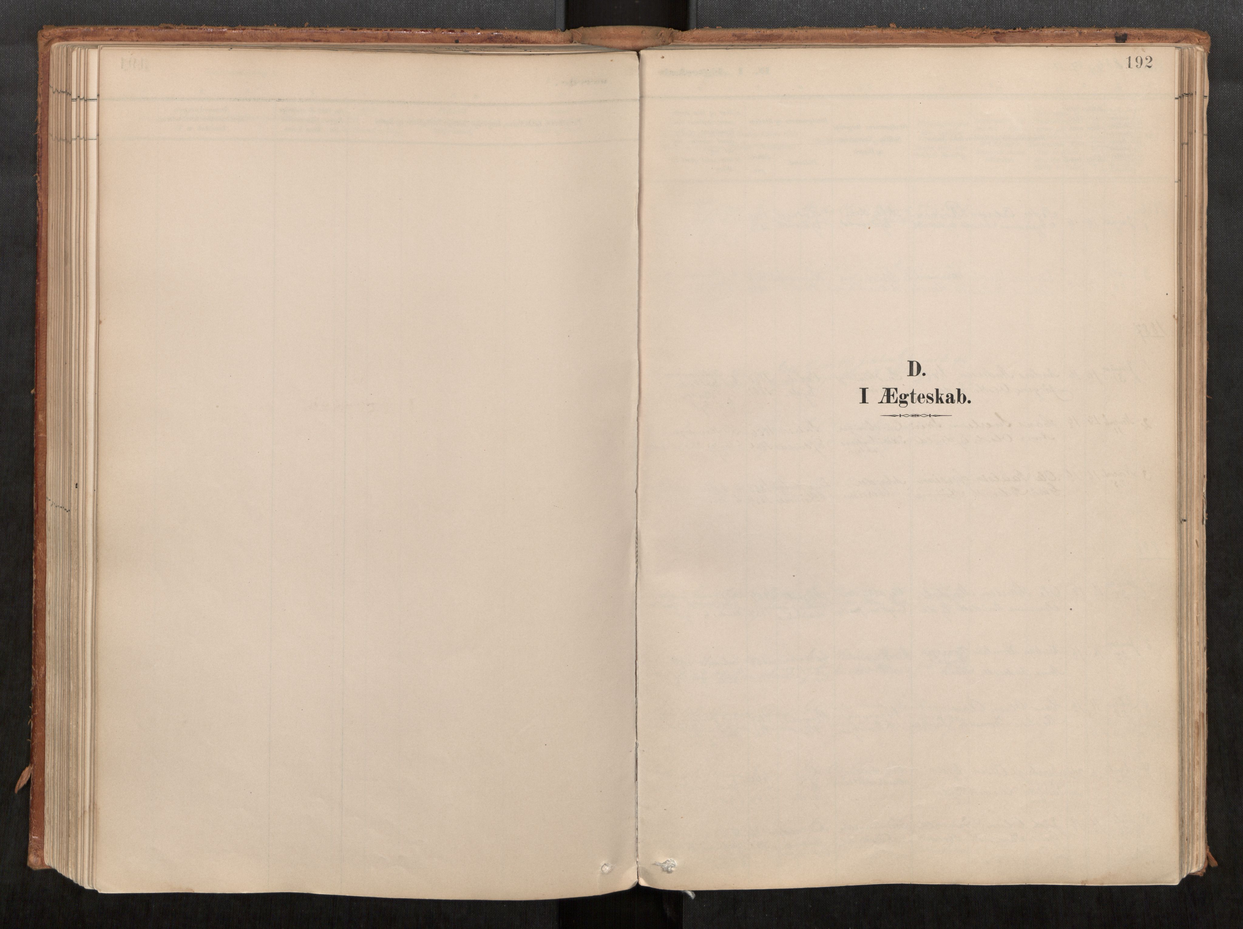 Ministerialprotokoller, klokkerbøker og fødselsregistre - Møre og Romsdal, SAT/A-1454/542/L0553: Parish register (official) no. 542A03, 1885-1925, p. 192