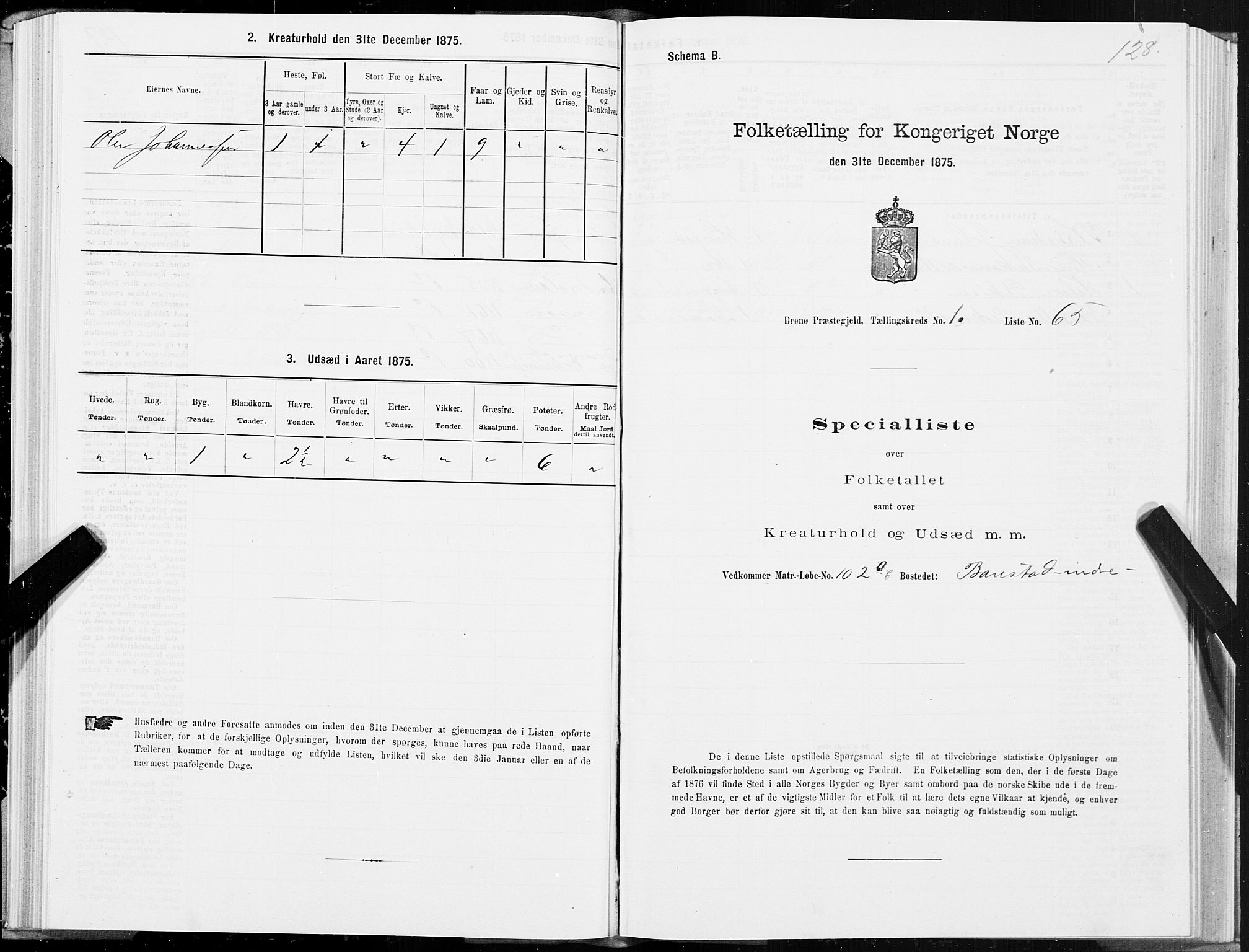 SAT, 1875 census for 1814P Brønnøy, 1875, p. 1128