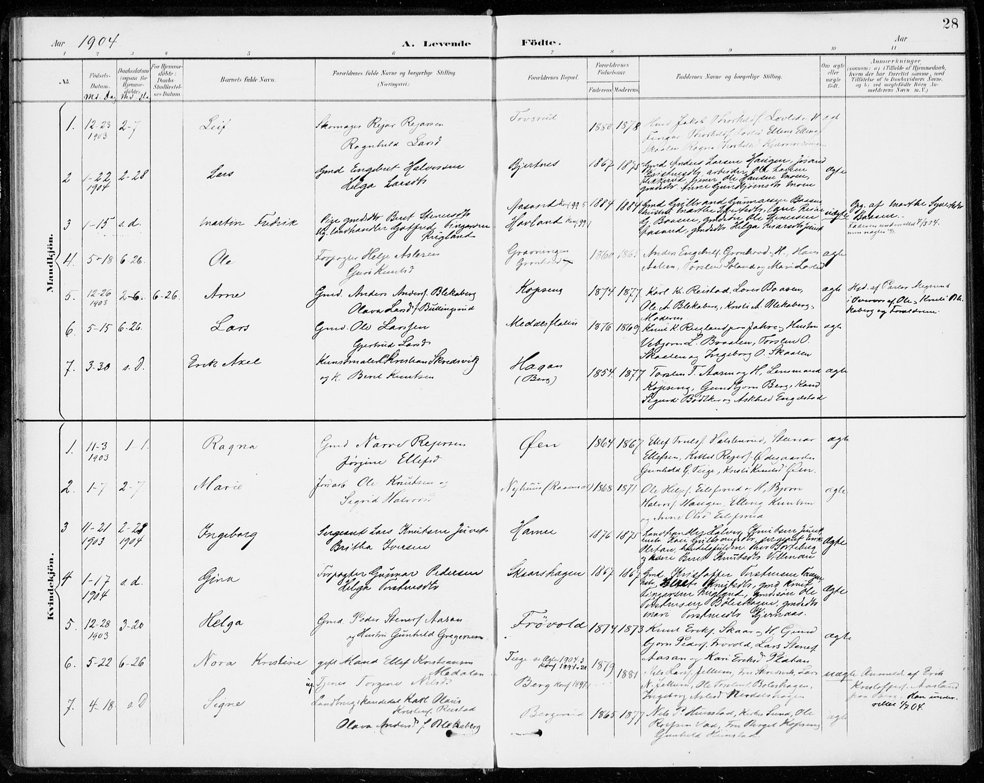 Sigdal kirkebøker, SAKO/A-245/F/Fc/L0002: Parish register (official) no. III 2, 1894-1911, p. 28