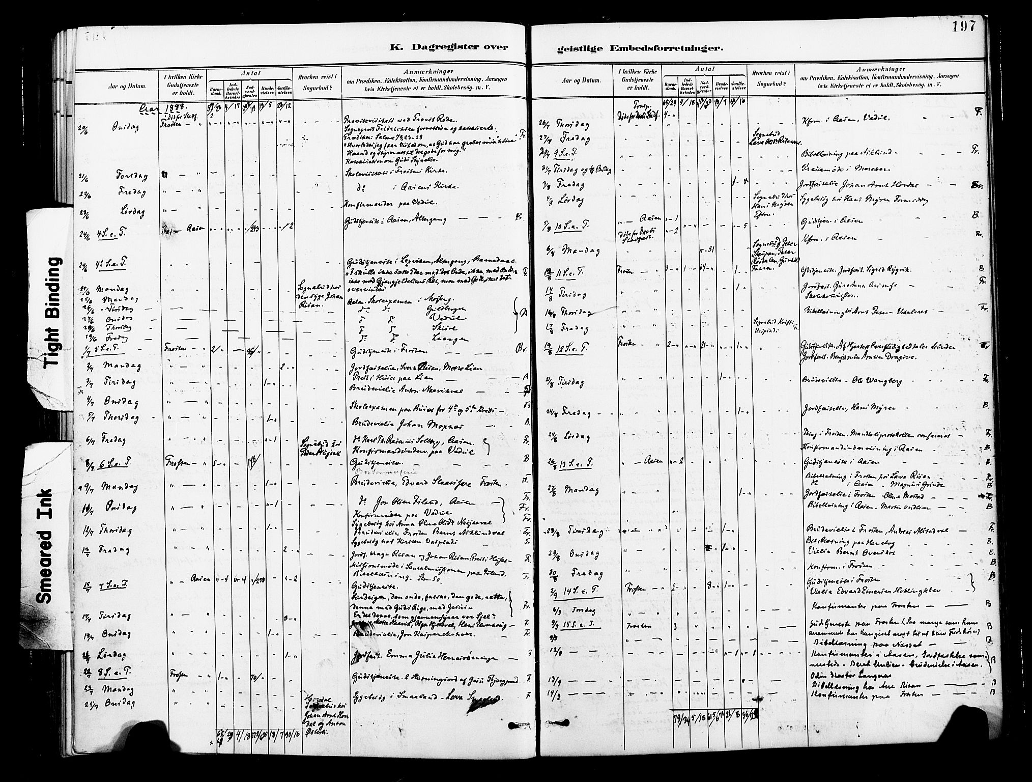 Ministerialprotokoller, klokkerbøker og fødselsregistre - Nord-Trøndelag, SAT/A-1458/713/L0121: Parish register (official) no. 713A10, 1888-1898, p. 197