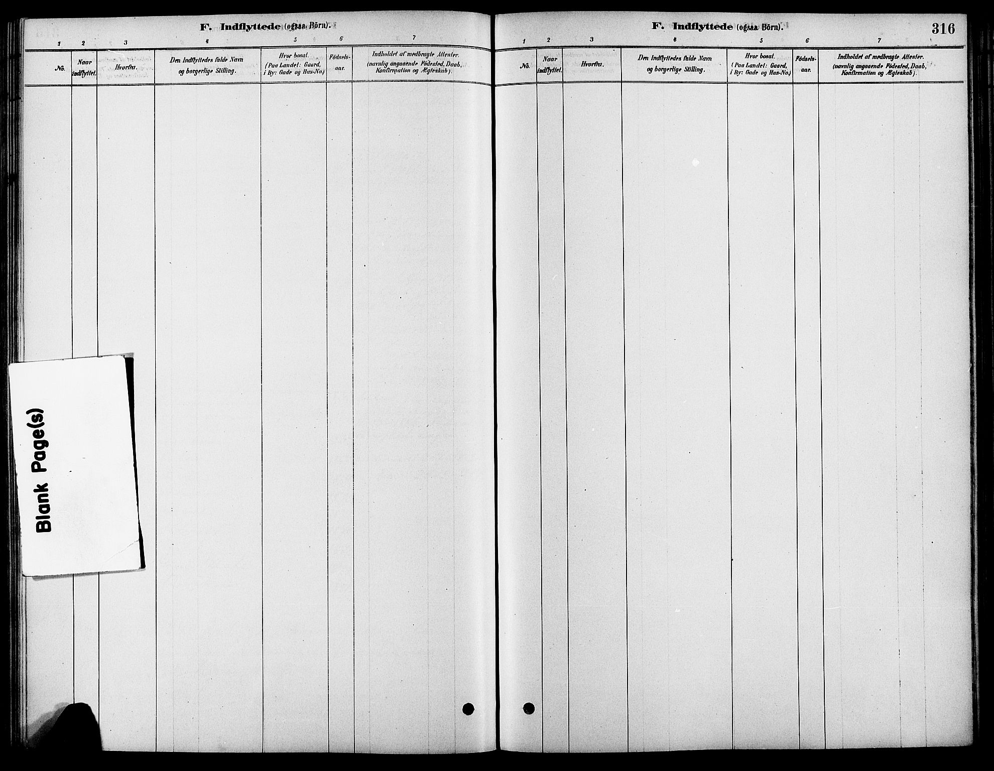 Fåberg prestekontor, SAH/PREST-086/H/Ha/Haa/L0008: Parish register (official) no. 8, 1879-1898, p. 316