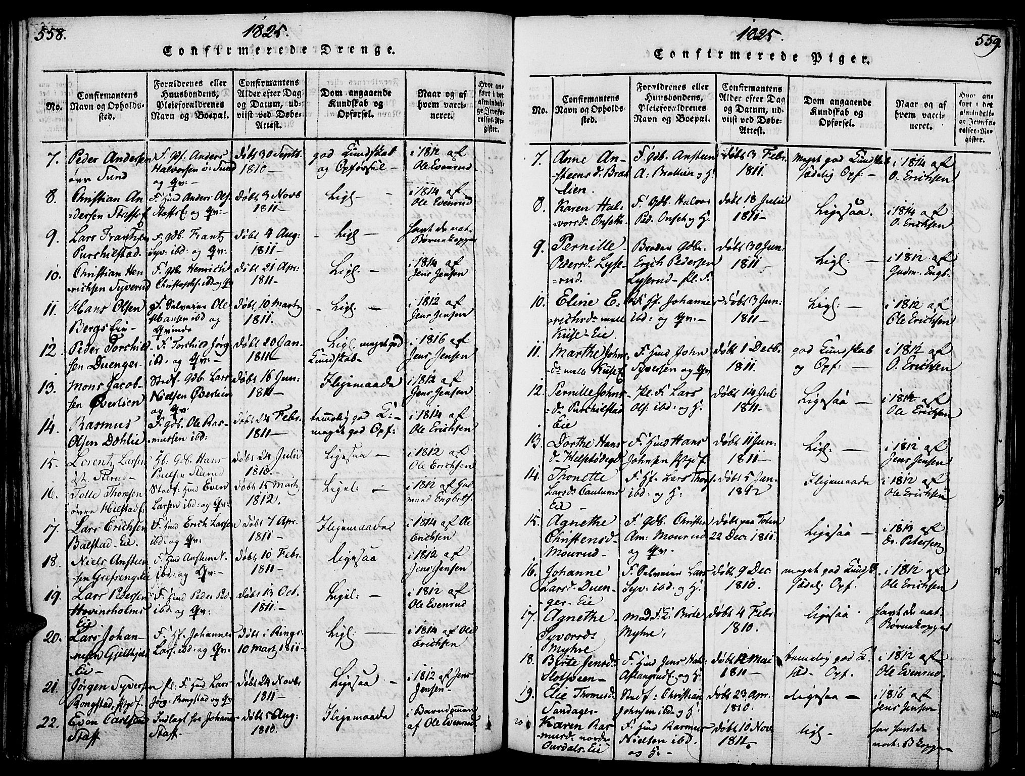 Nes prestekontor, Hedmark, SAH/PREST-020/K/Ka/L0002: Parish register (official) no. 2, 1813-1827, p. 558-559