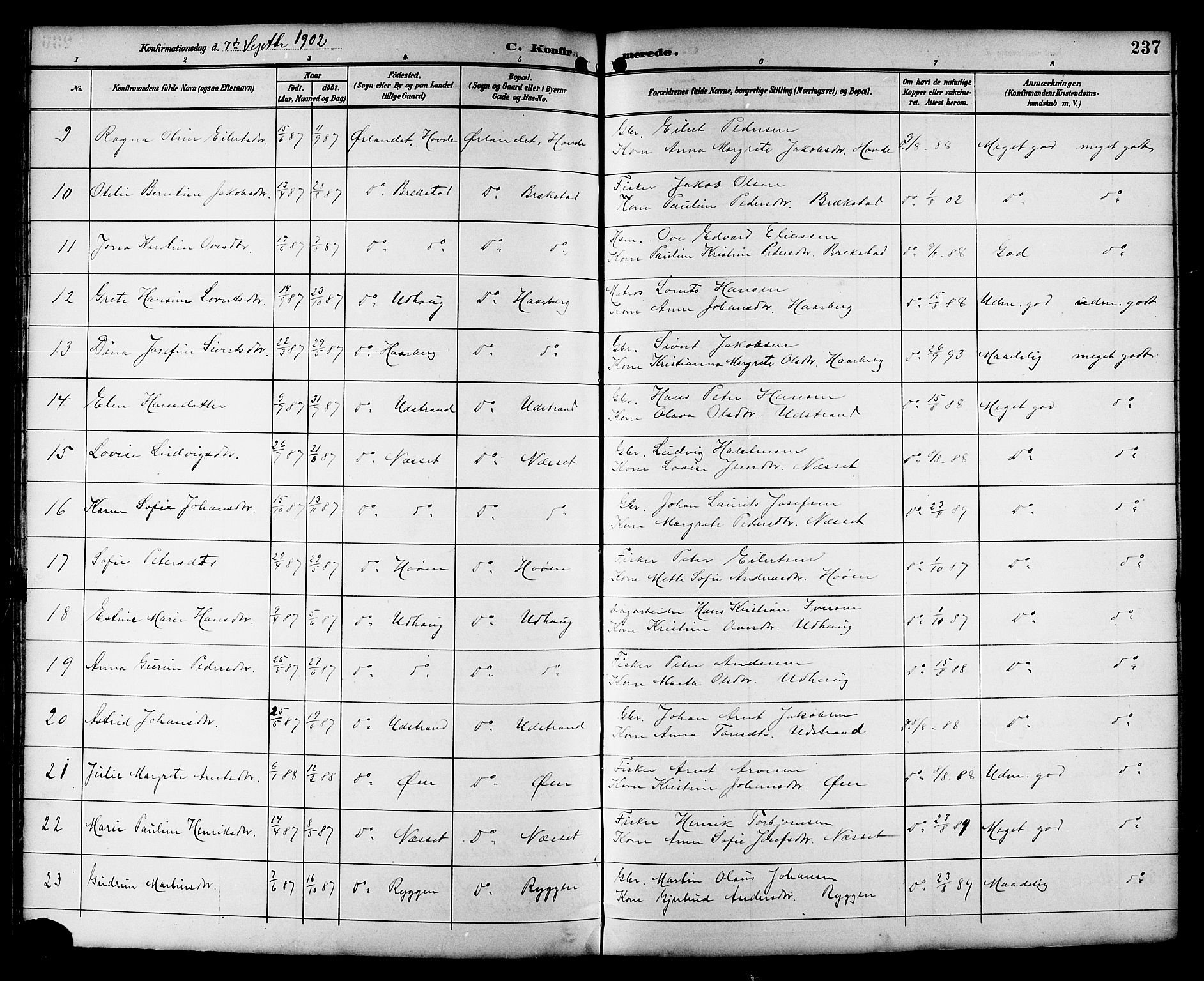 Ministerialprotokoller, klokkerbøker og fødselsregistre - Sør-Trøndelag, SAT/A-1456/659/L0746: Parish register (copy) no. 659C03, 1893-1912, p. 237
