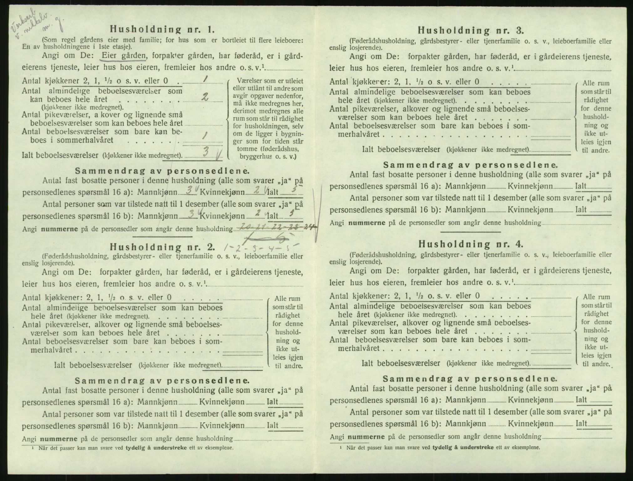 SAK, 1920 census for Hornnes, 1920, p. 100