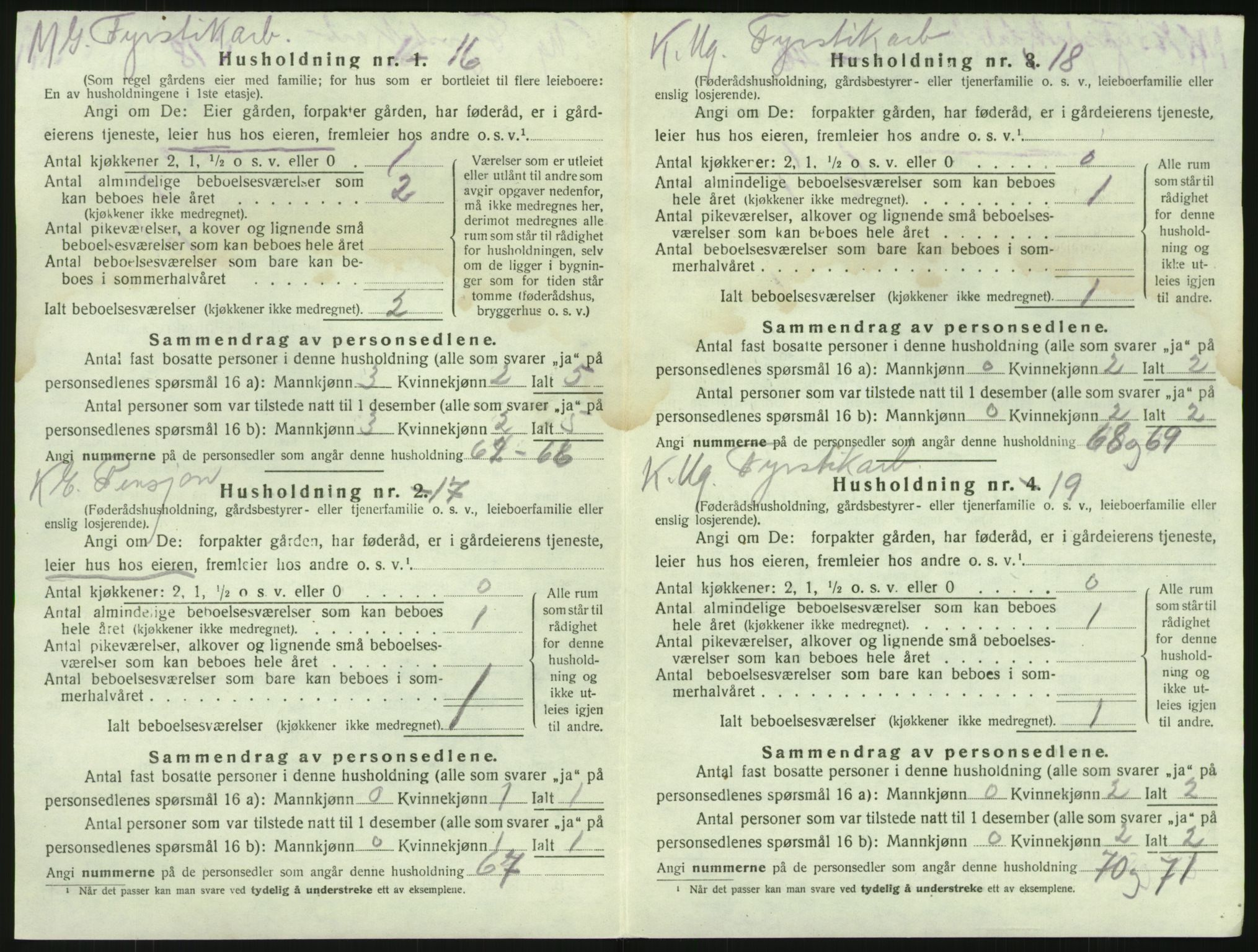 SAKO, 1920 census for Brunlanes, 1920, p. 702