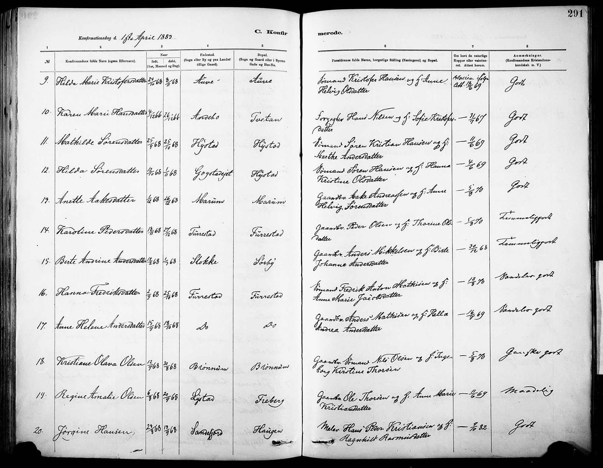 Sandar kirkebøker, AV/SAKO-A-243/F/Fa/L0012: Parish register (official) no. 12, 1883-1895, p. 291