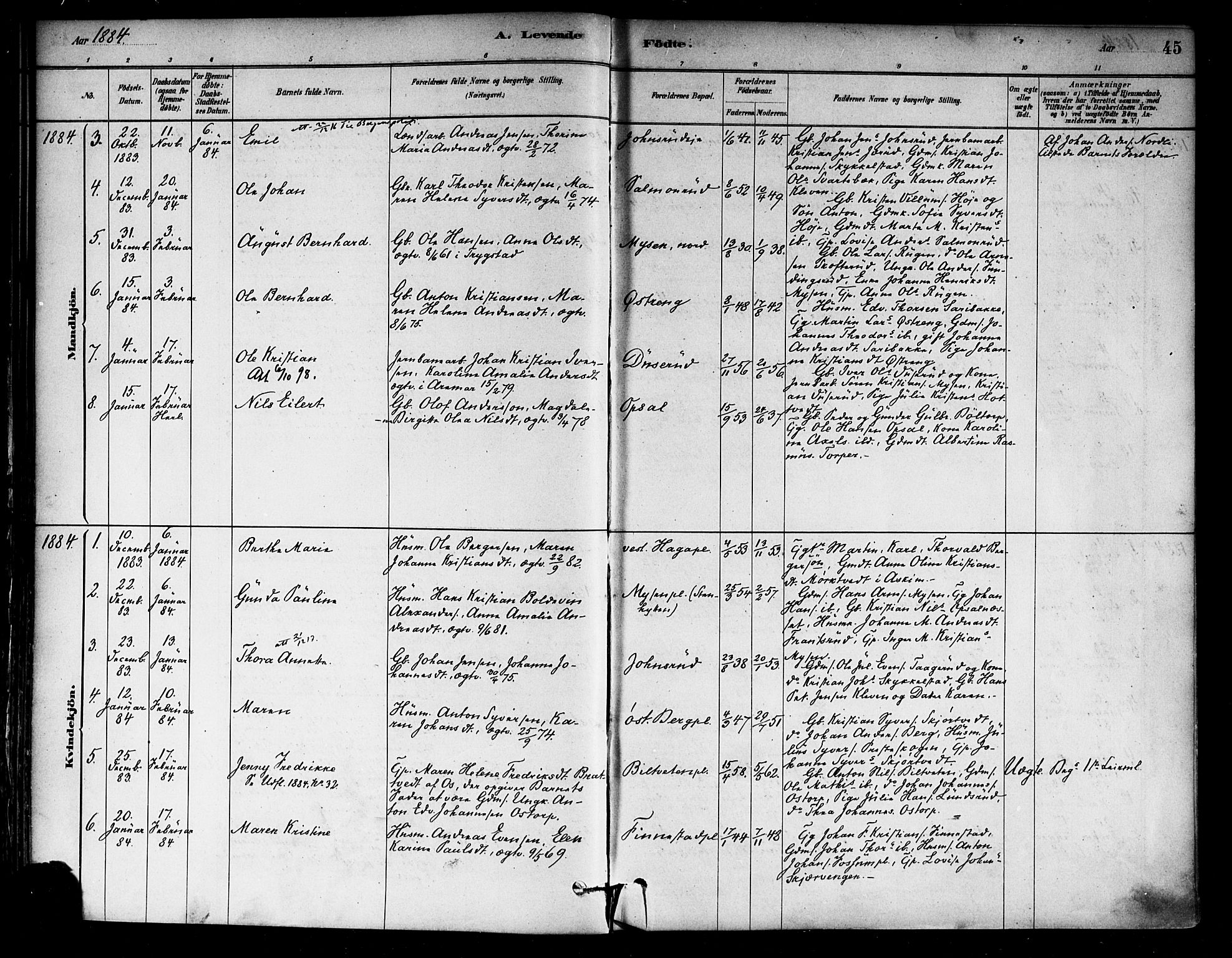 Eidsberg prestekontor Kirkebøker, SAO/A-10905/F/Fa/L0012: Parish register (official) no. I 12, 1879-1901, p. 45