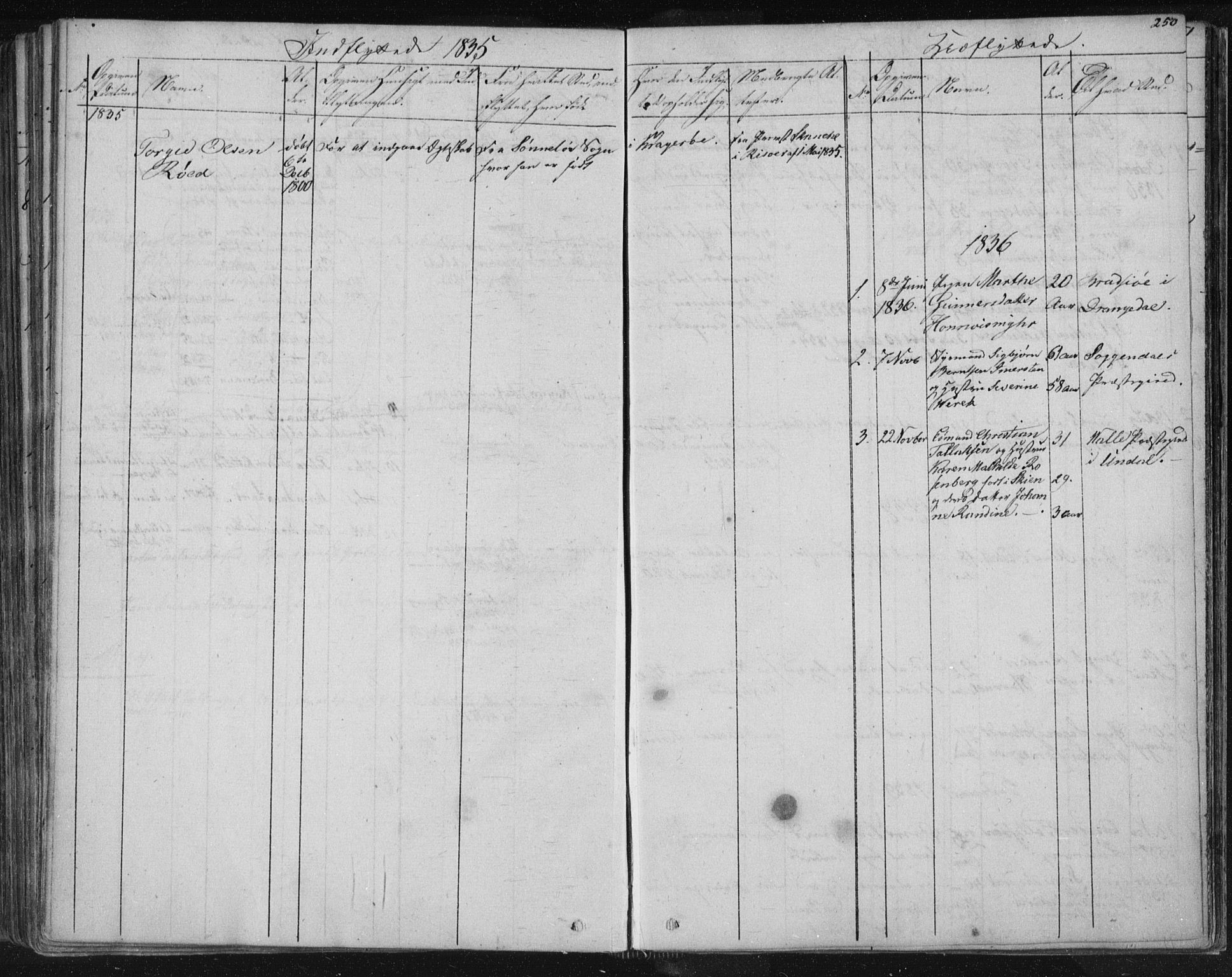 Kragerø kirkebøker, SAKO/A-278/F/Fa/L0005: Parish register (official) no. 5, 1832-1847, p. 250