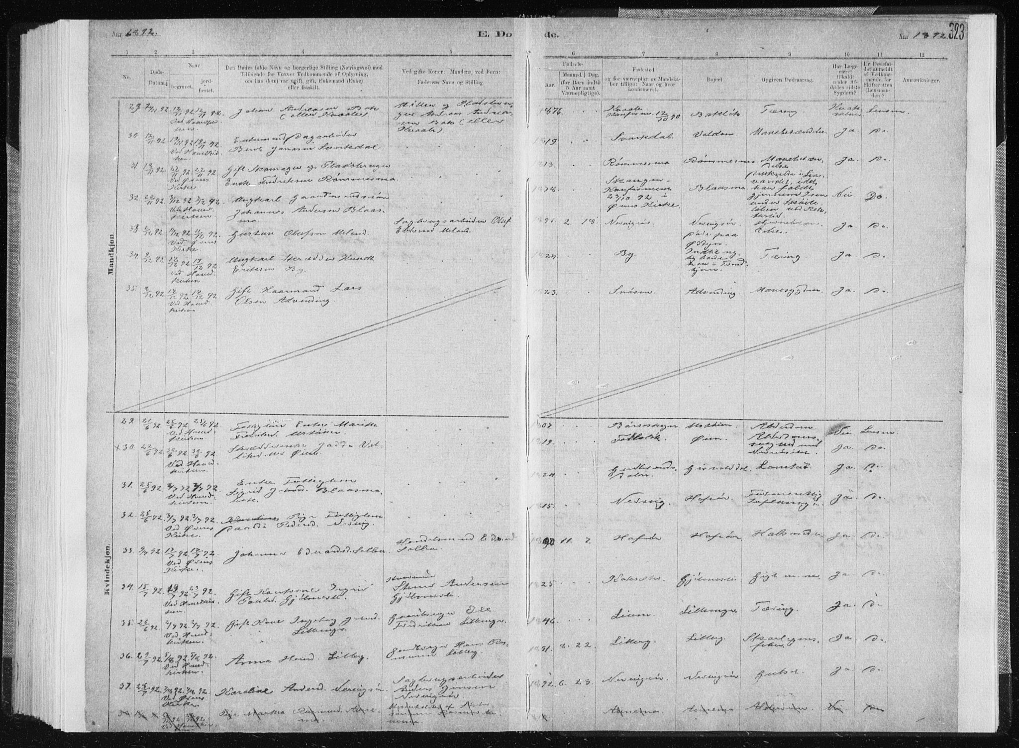 Ministerialprotokoller, klokkerbøker og fødselsregistre - Sør-Trøndelag, AV/SAT-A-1456/668/L0818: Parish register (copy) no. 668C07, 1885-1898, p. 323