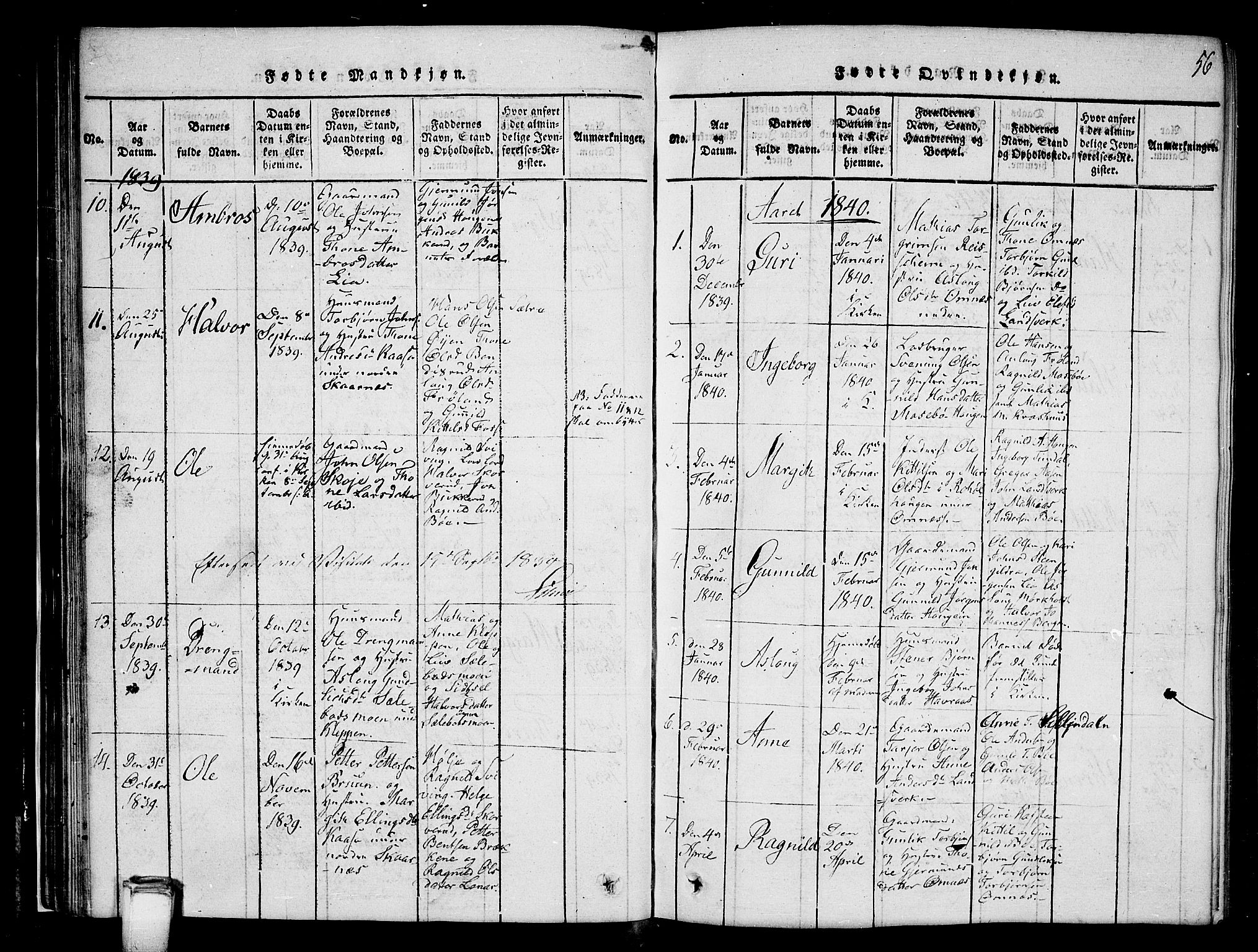 Hjartdal kirkebøker, SAKO/A-270/G/Gb/L0001: Parish register (copy) no. II 1, 1815-1842, p. 56
