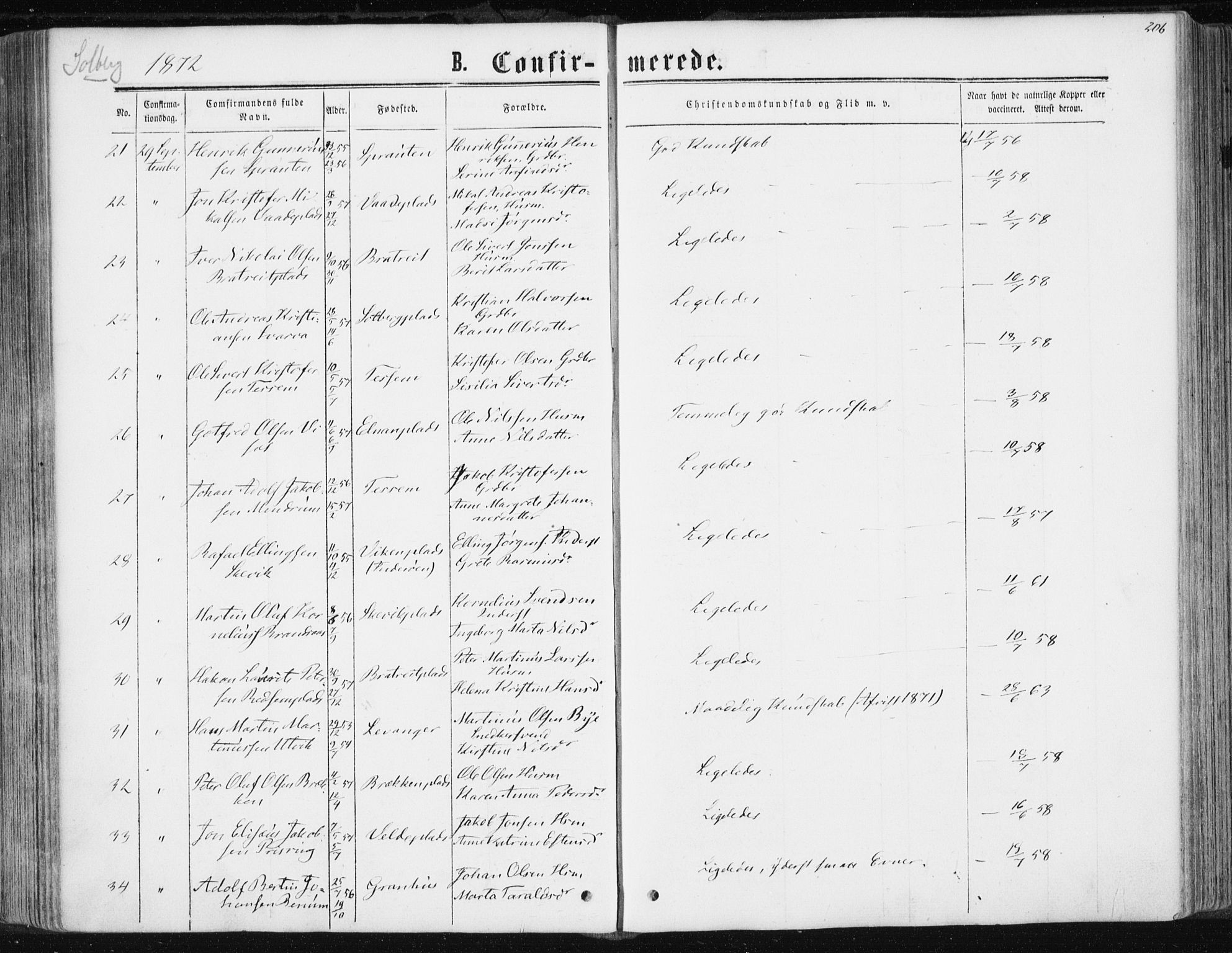 Ministerialprotokoller, klokkerbøker og fødselsregistre - Nord-Trøndelag, AV/SAT-A-1458/741/L0394: Parish register (official) no. 741A08, 1864-1877, p. 206