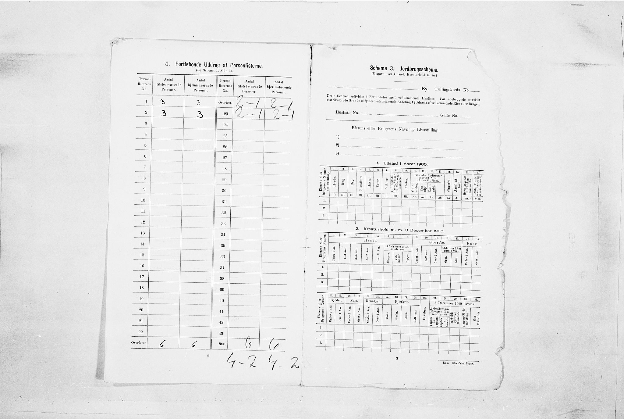 SAO, 1900 census for Sarpsborg, 1900