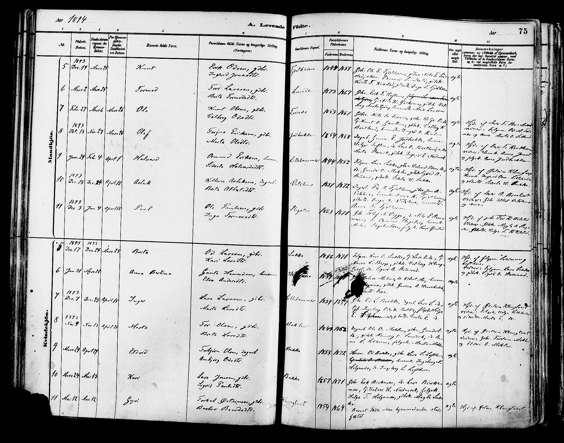 Suldal sokneprestkontor, AV/SAST-A-101845/01/IV/L0011: Parish register (official) no. A 11, 1878-1900, p. 75