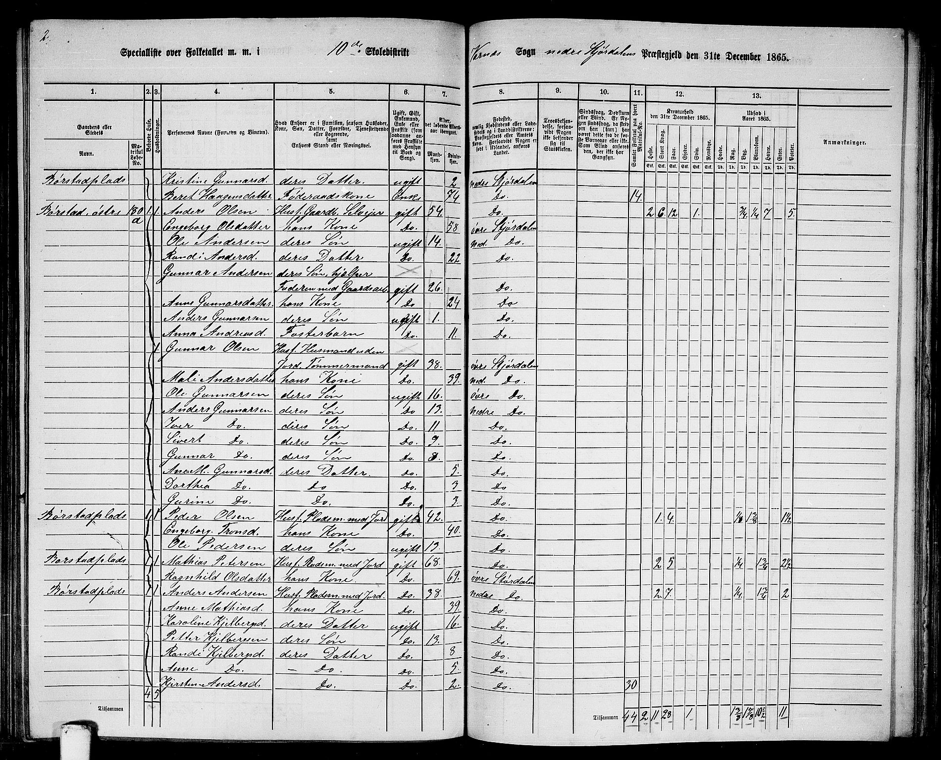 RA, 1865 census for Nedre Stjørdal, 1865, p. 208