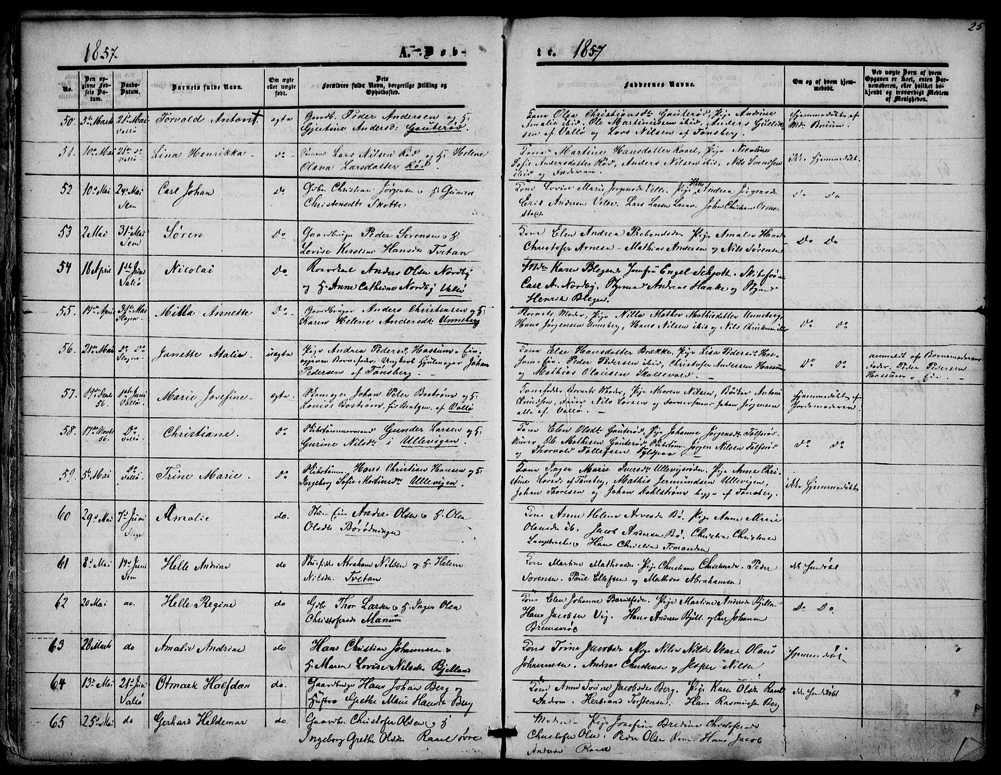 Sem kirkebøker, AV/SAKO-A-5/F/Fa/L0007: Parish register (official) no. I 7, 1856-1865, p. 25