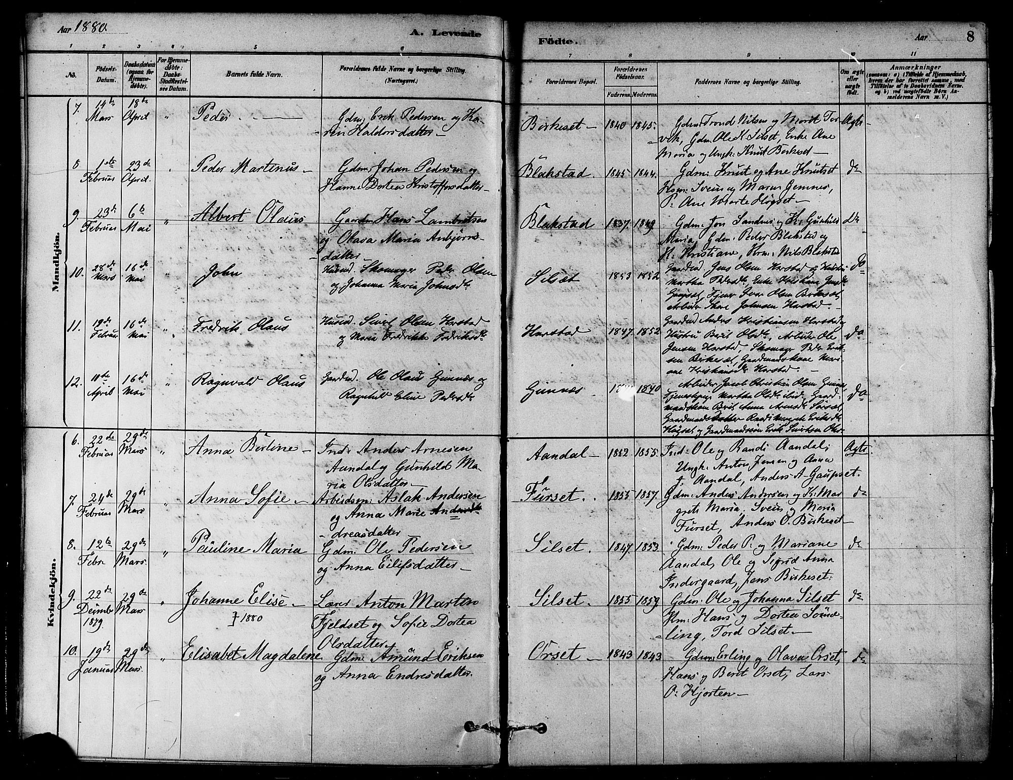 Ministerialprotokoller, klokkerbøker og fødselsregistre - Møre og Romsdal, AV/SAT-A-1454/584/L0967: Parish register (official) no. 584A07, 1879-1894, p. 8