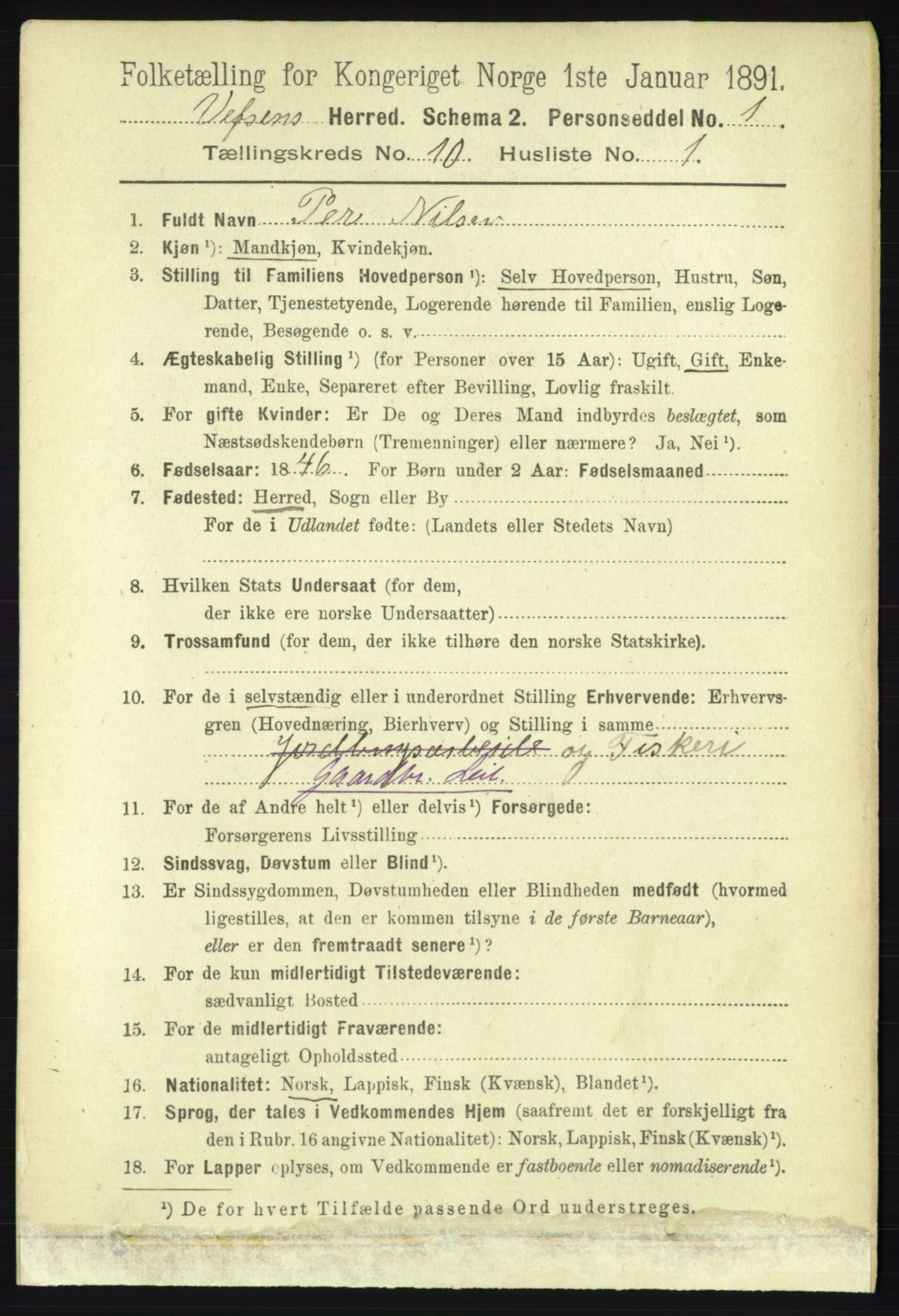 RA, 1891 census for 1824 Vefsn, 1891, p. 5193