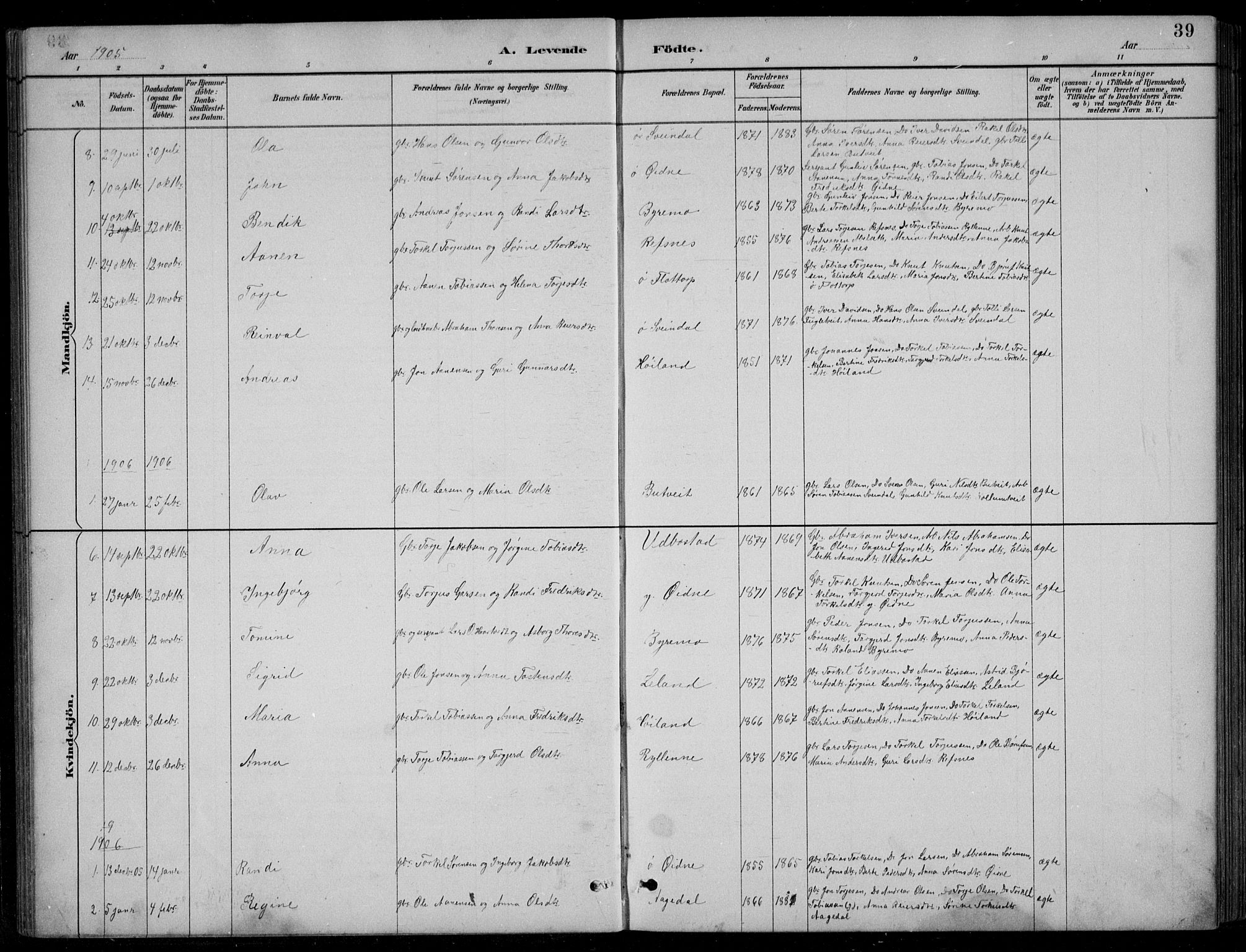 Bjelland sokneprestkontor, SAK/1111-0005/F/Fb/Fbc/L0003: Parish register (copy) no. B 3, 1887-1924, p. 39