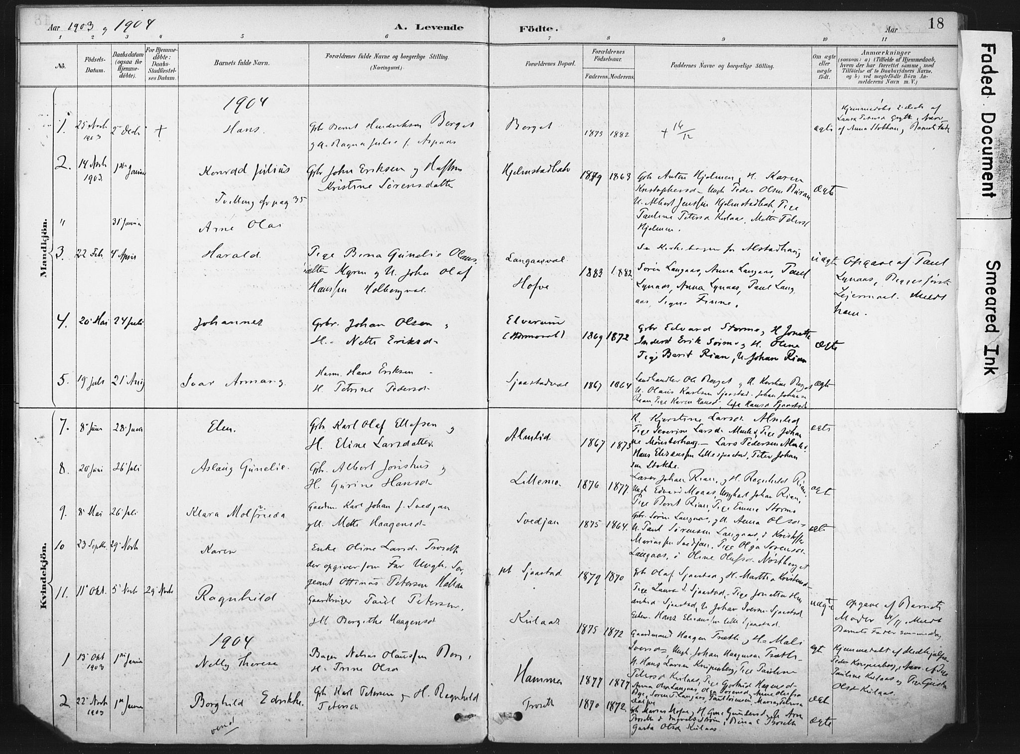 Ministerialprotokoller, klokkerbøker og fødselsregistre - Nord-Trøndelag, SAT/A-1458/718/L0175: Parish register (official) no. 718A01, 1890-1923, p. 18