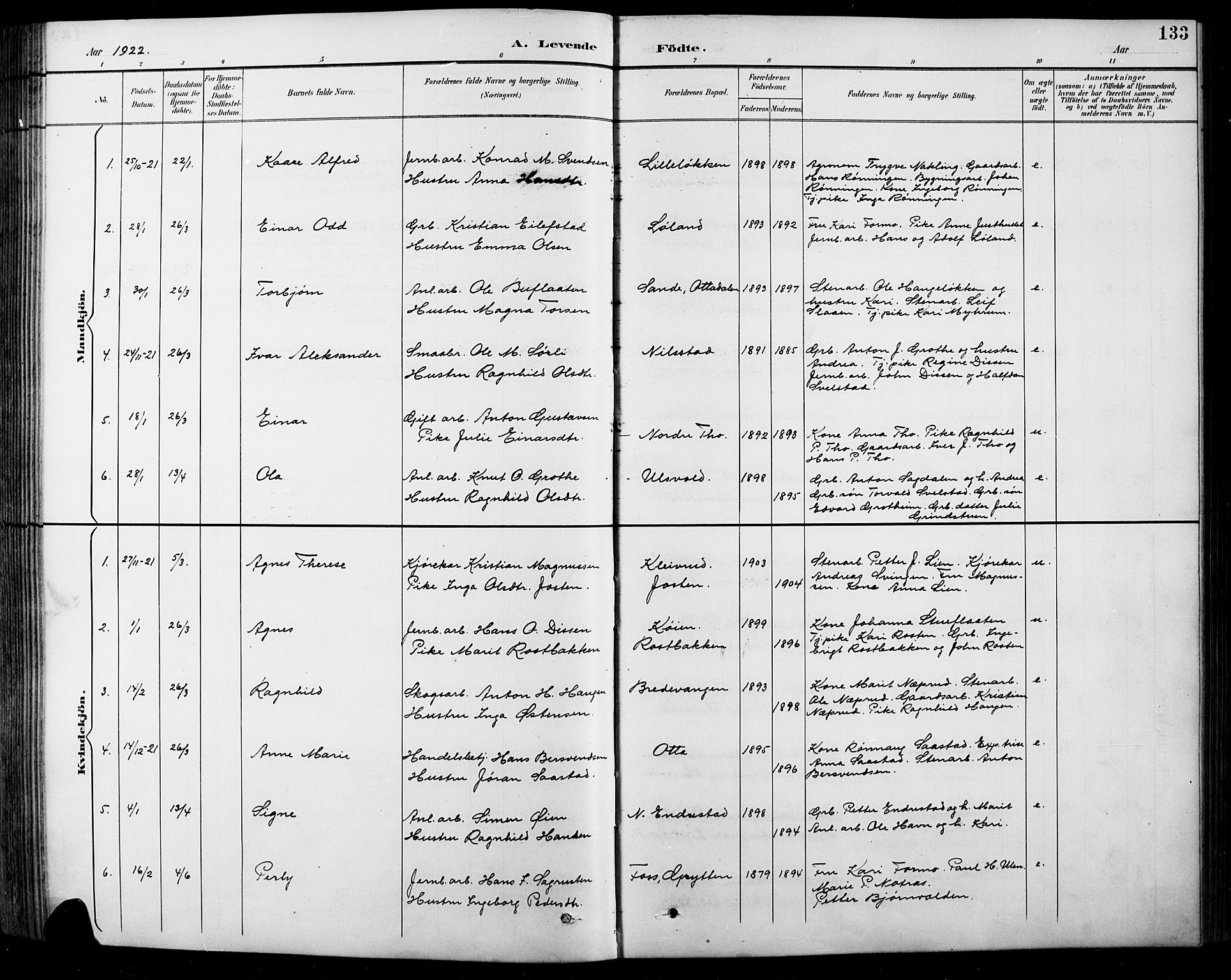 Sel prestekontor, SAH/PREST-074/H/Ha/Hab/L0001: Parish register (copy) no. 1, 1894-1923, p. 133