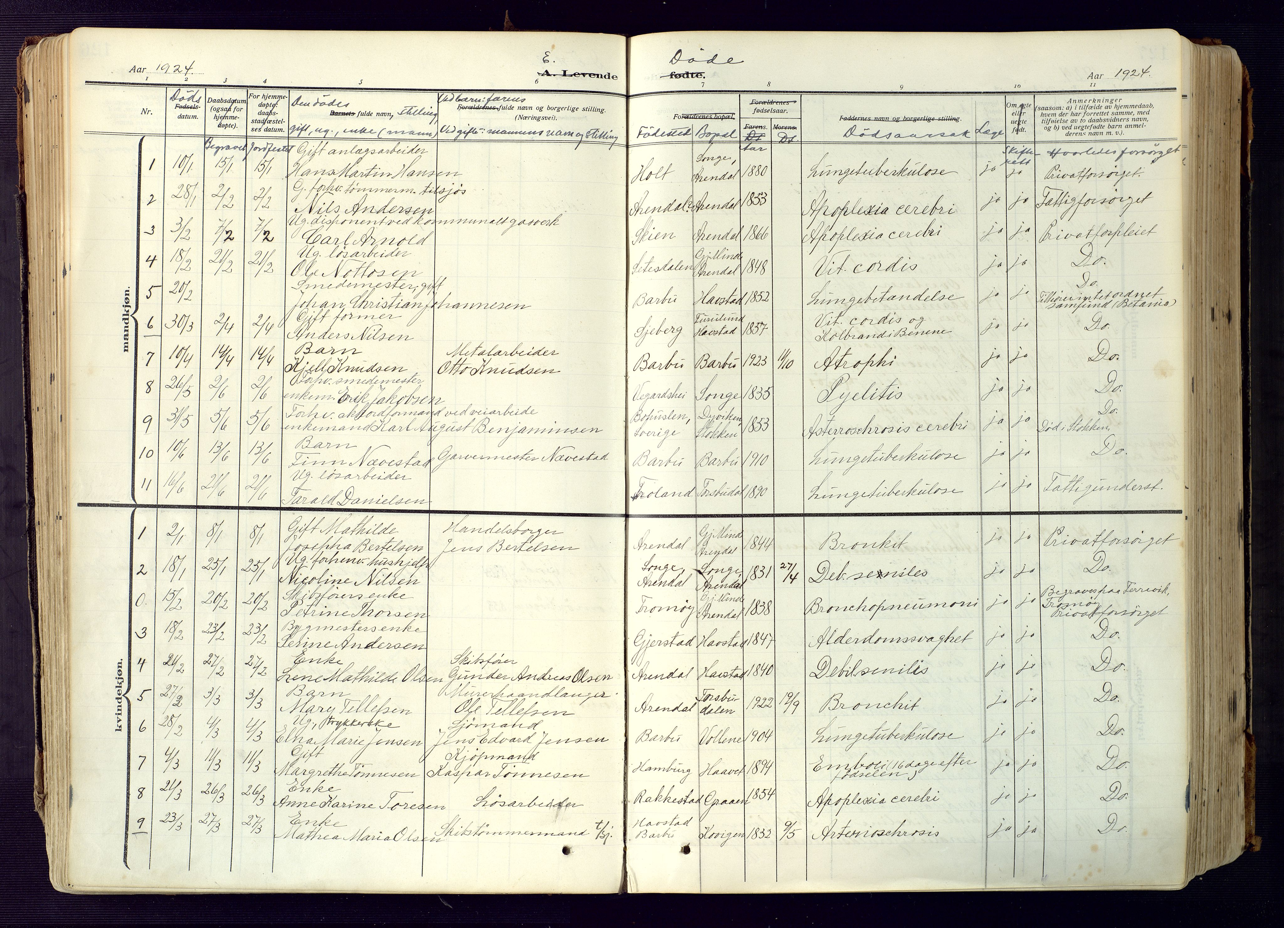 Barbu sokneprestkontor, AV/SAK-1111-0003/F/Fa/L0006: Parish register (official) no. A 6, 1910-1929