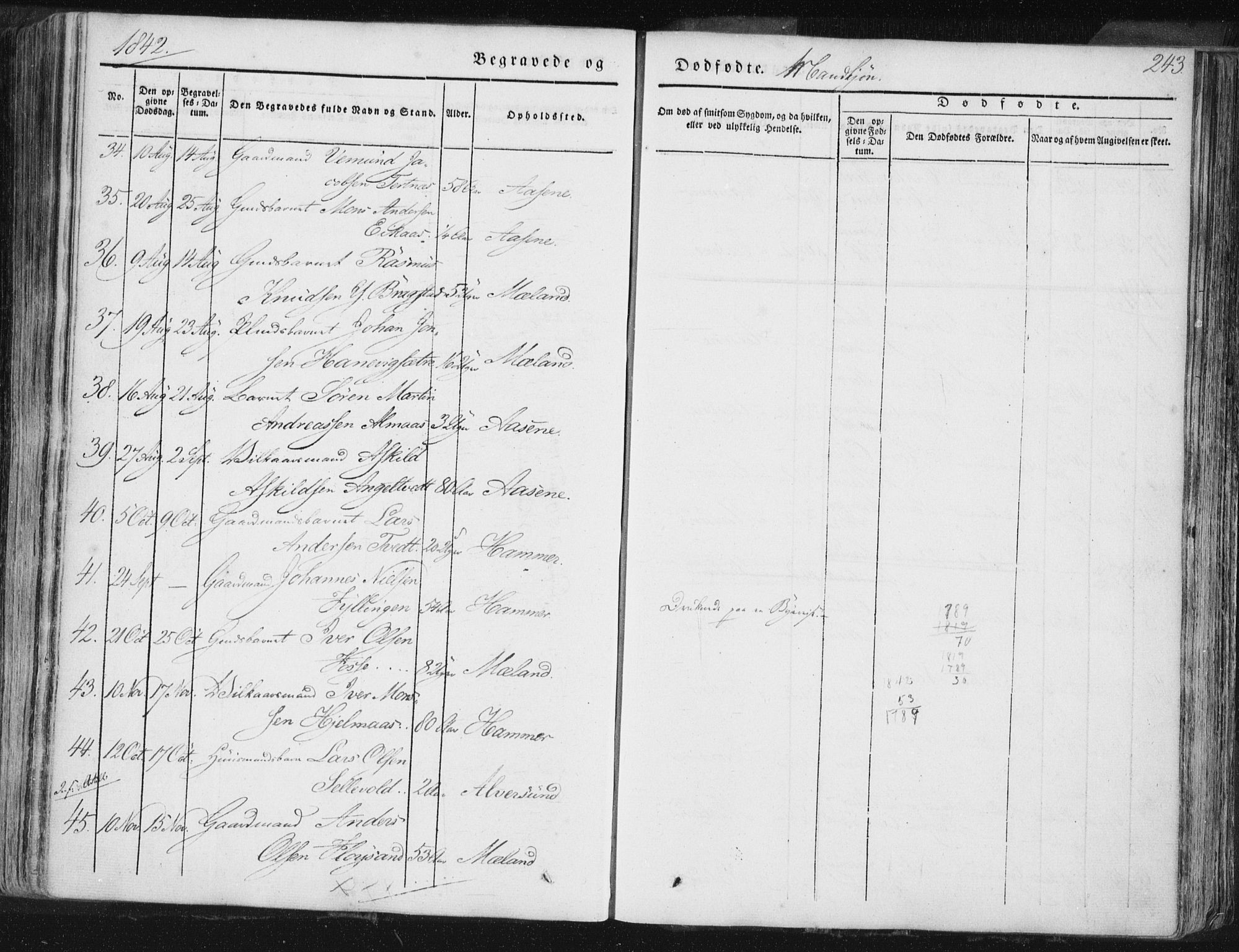 Hamre sokneprestembete, SAB/A-75501/H/Ha/Haa/Haaa/L0012: Parish register (official) no. A 12, 1834-1845, p. 243