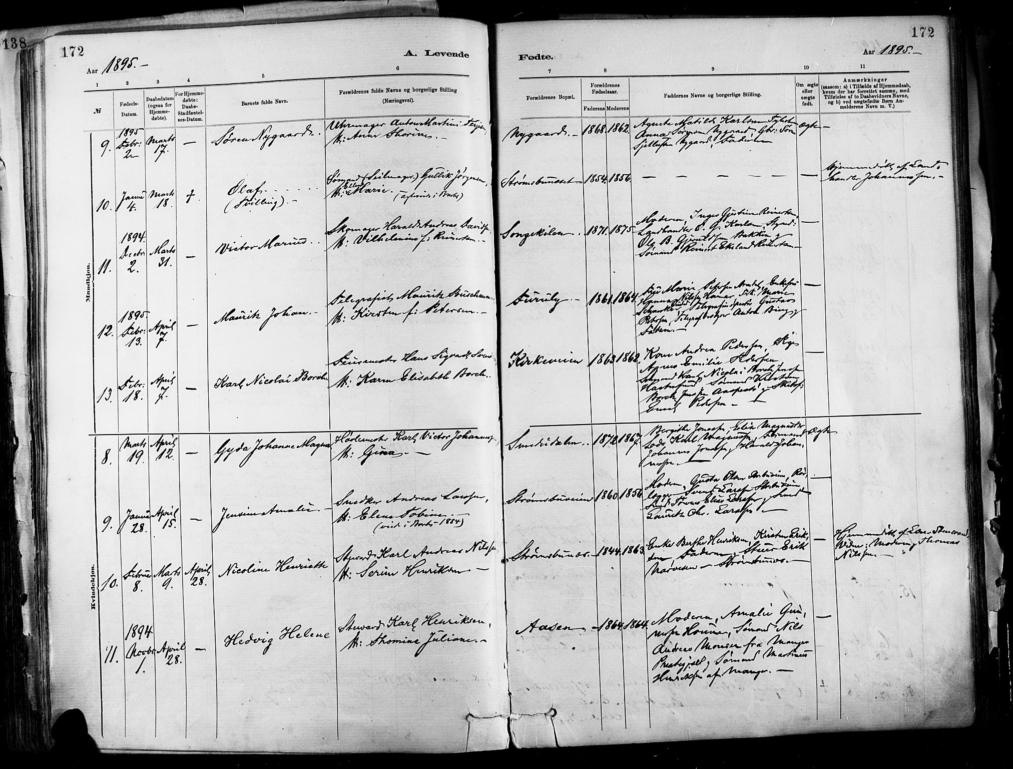 Barbu sokneprestkontor, SAK/1111-0003/F/Fa/L0002: Parish register (official) no. A 2, 1883-1898, p. 172