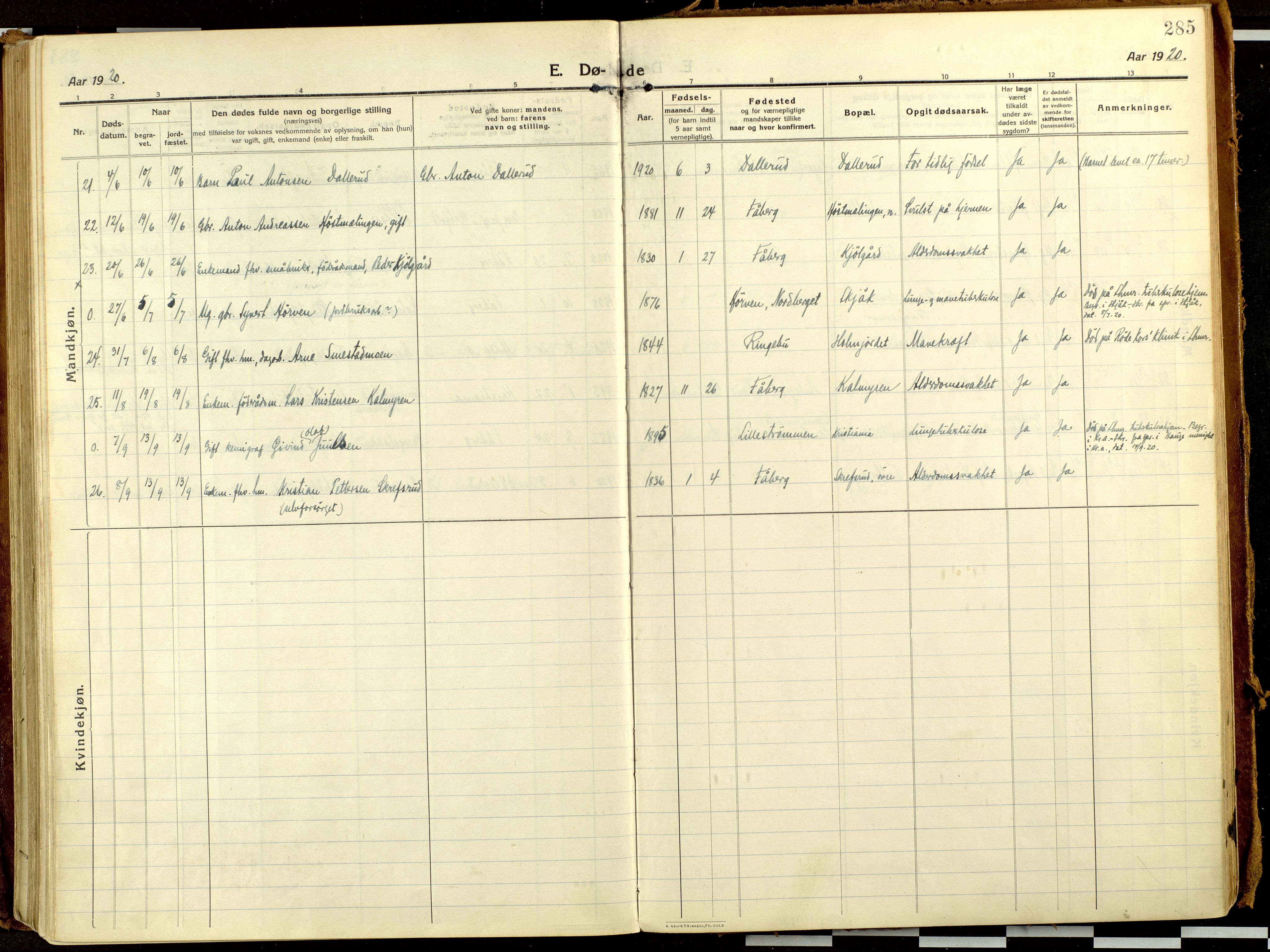 Fåberg prestekontor, AV/SAH-PREST-086/H/Ha/Haa/L0013: Parish register (official) no. 13, 1913-1928, p. 285