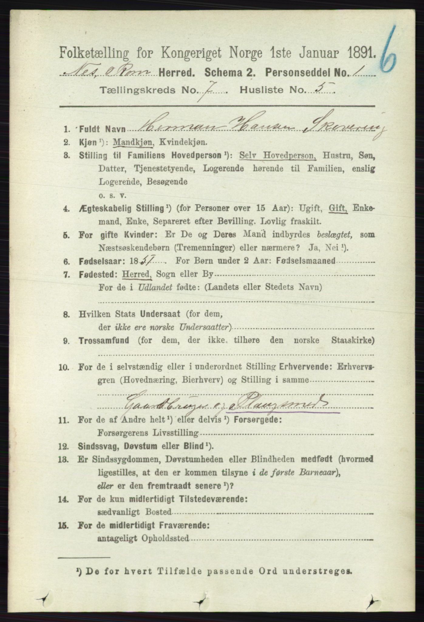 RA, 1891 census for 0236 Nes, 1891, p. 4049