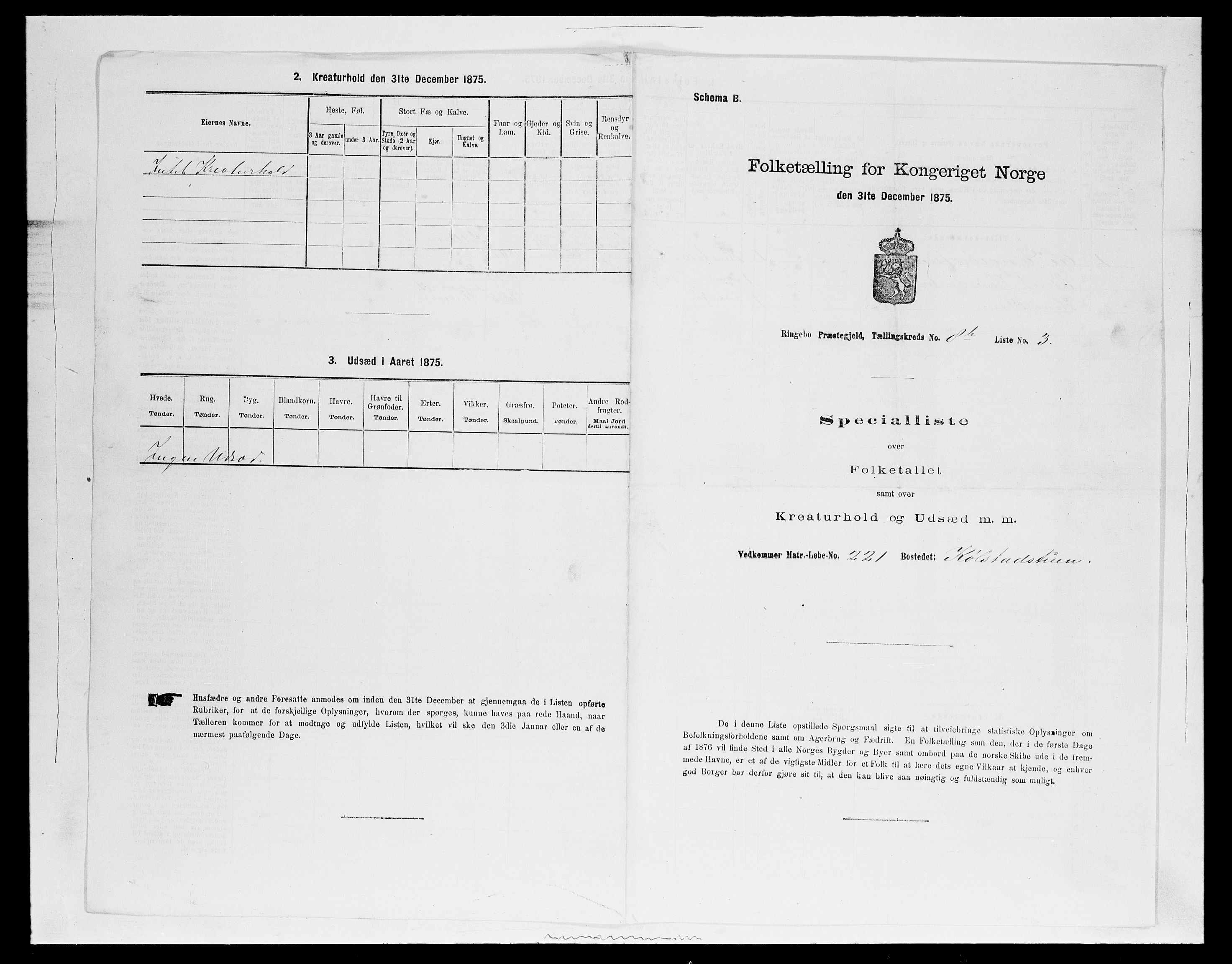 SAH, 1875 census for 0520P Ringebu, 1875, p. 1276