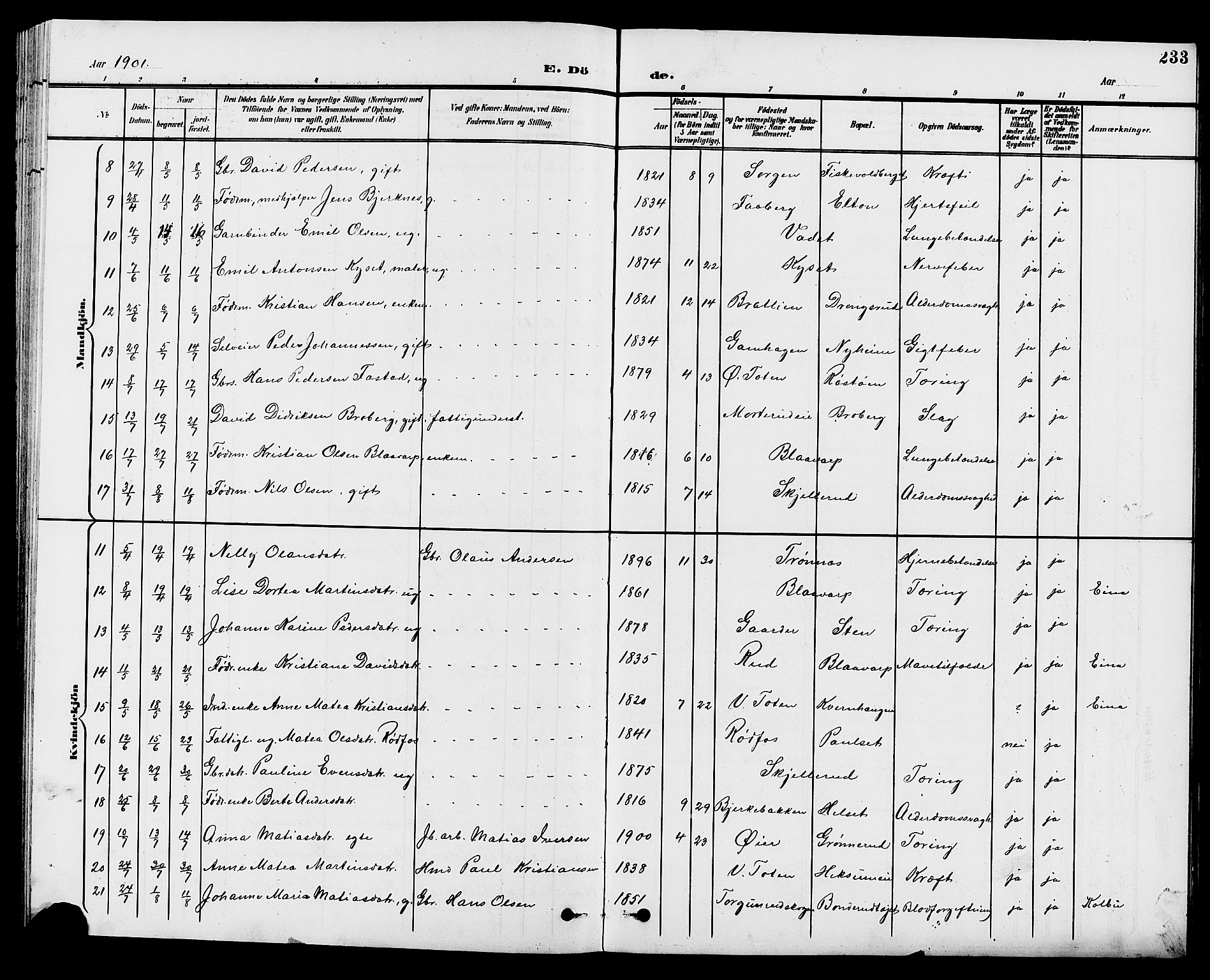 Vestre Toten prestekontor, SAH/PREST-108/H/Ha/Hab/L0010: Parish register (copy) no. 10, 1900-1912, p. 233
