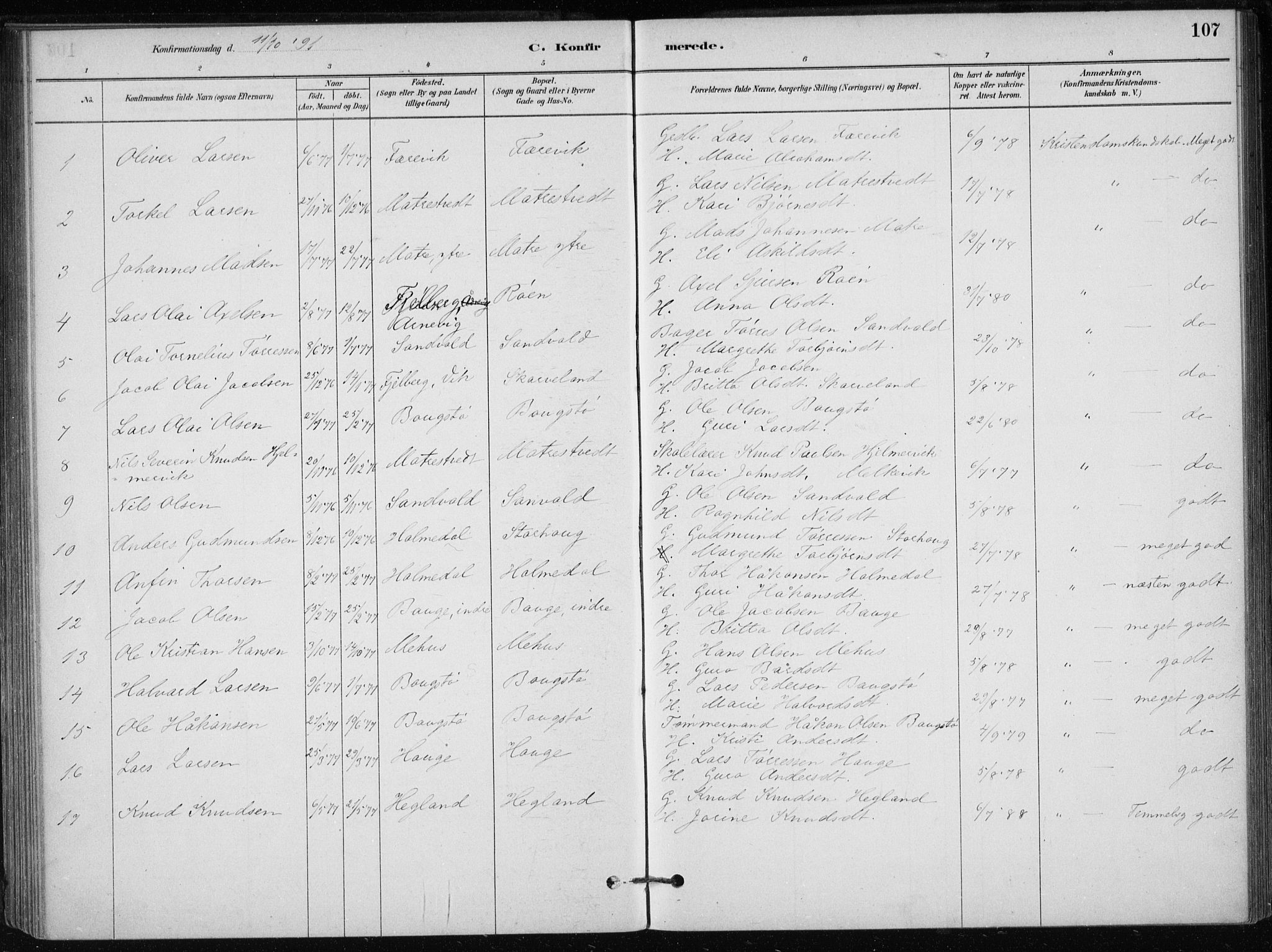 Skånevik sokneprestembete, SAB/A-77801/H/Haa: Parish register (official) no. C  1, 1879-1917, p. 107