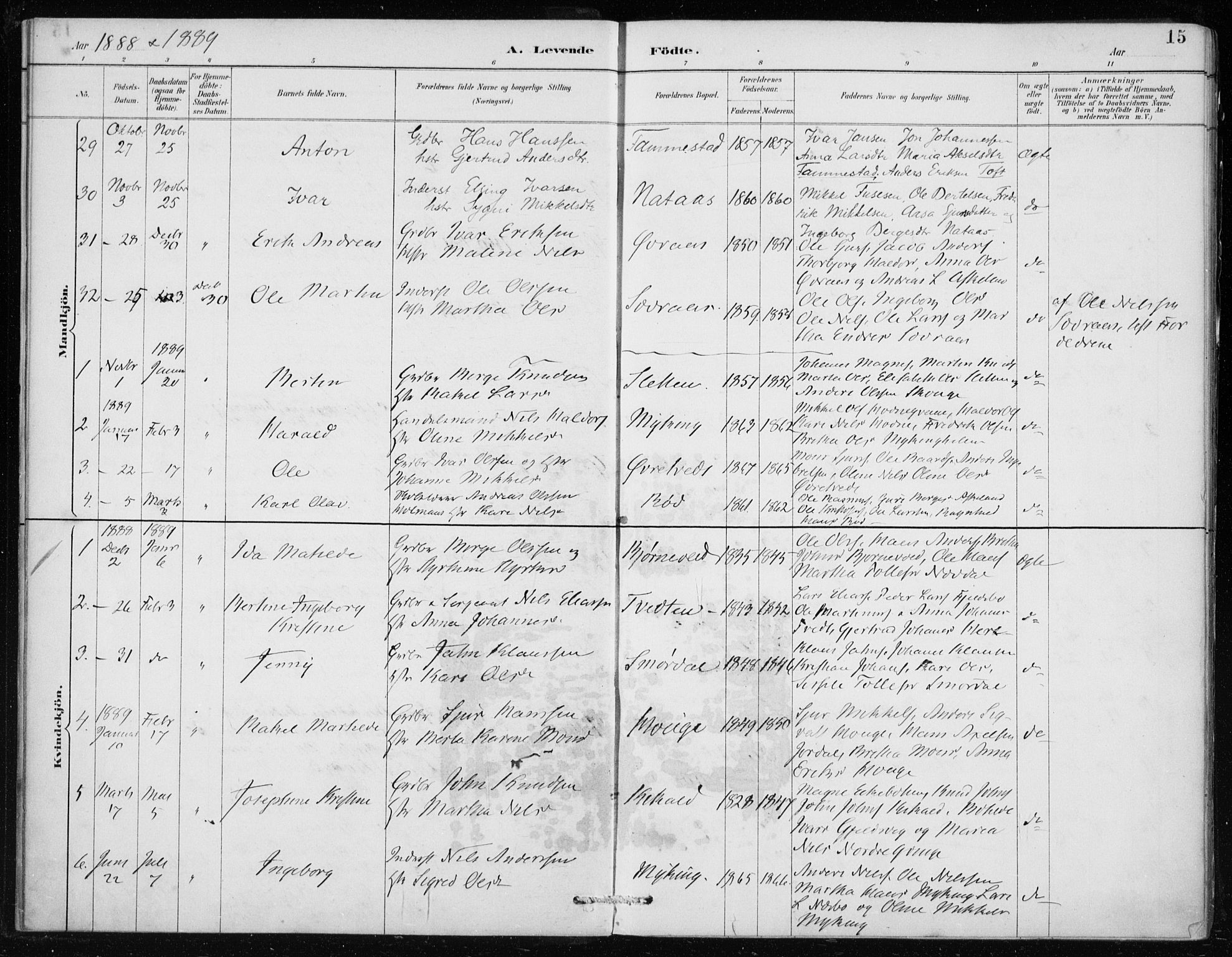 Lindås Sokneprestembete, SAB/A-76701/H/Haa: Parish register (official) no. F  1, 1886-1897, p. 15