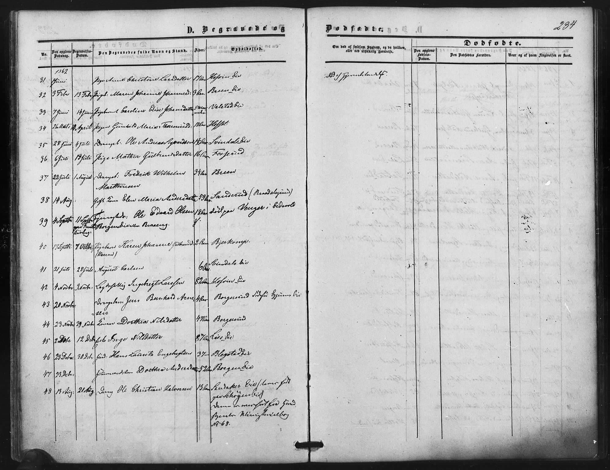 Nes prestekontor Kirkebøker, AV/SAO-A-10410/F/Fb/L0001: Parish register (official) no. II 1, 1859-1882, p. 234