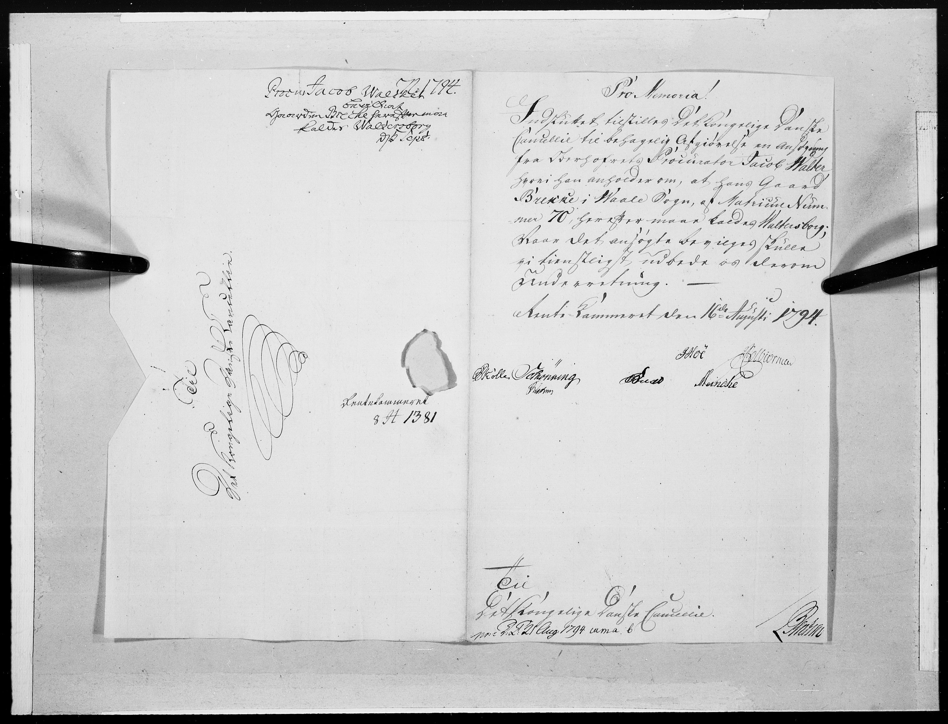 Danske Kanselli 1572-1799, AV/RA-EA-3023/F/Fc/Fcc/Fcca/L0298: Norske innlegg 1572-1799, 1794, p. 426