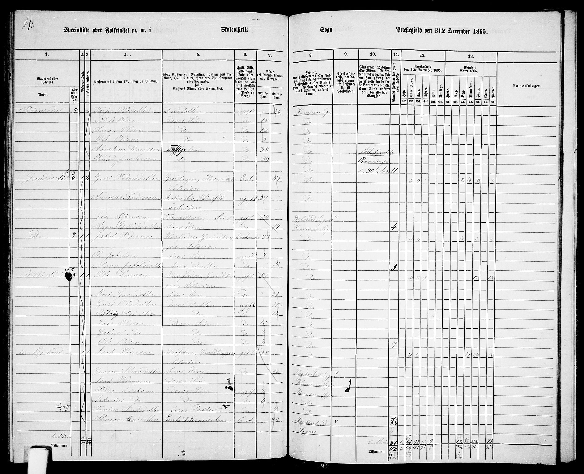 RA, 1865 census for Nord-Audnedal, 1865, p. 100