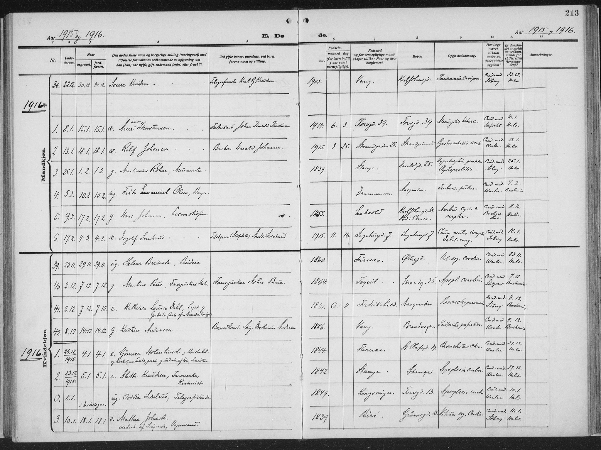 Hamar prestekontor, AV/SAH-DOMPH-002/H/Ha/Haa/L0002: Parish register (official) no. 2, 1915-1936, p. 213