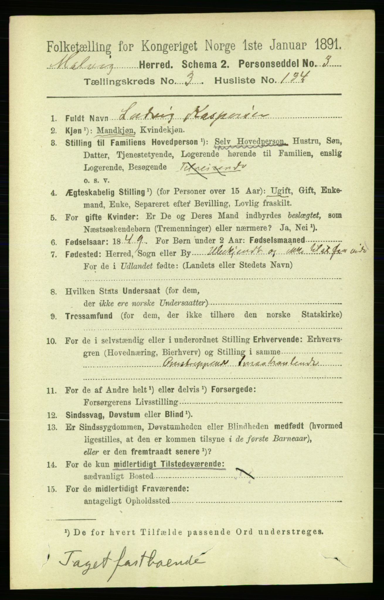 RA, 1891 census for 1663 Malvik, 1891, p. 2635