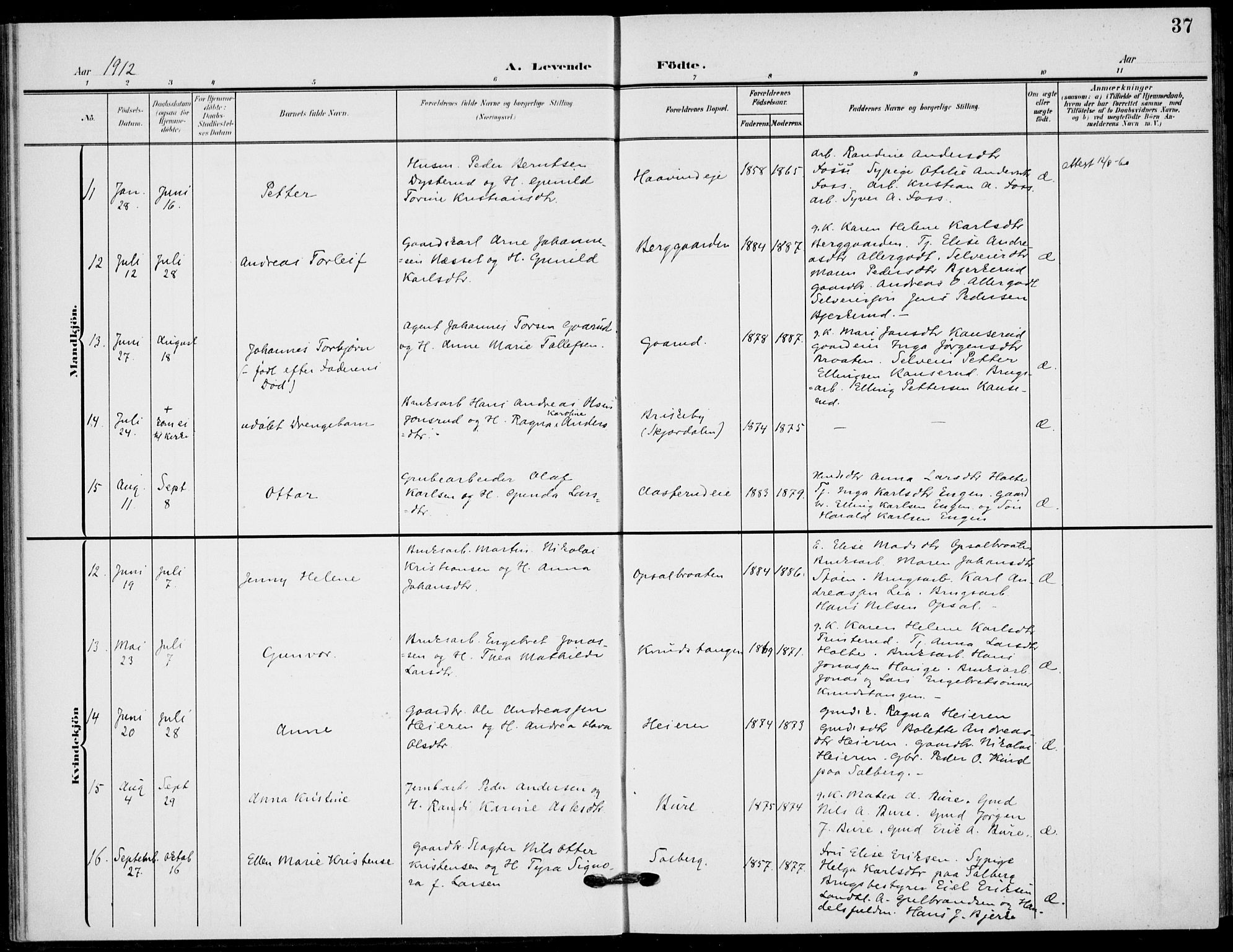 Hole kirkebøker, AV/SAKO-A-228/F/Fb/L0003: Parish register (official) no. II 3, 1906-1916, p. 37