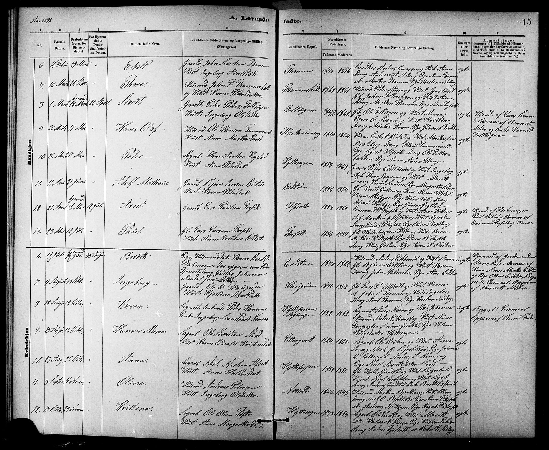 Ministerialprotokoller, klokkerbøker og fødselsregistre - Sør-Trøndelag, SAT/A-1456/618/L0452: Parish register (copy) no. 618C03, 1884-1906, p. 15