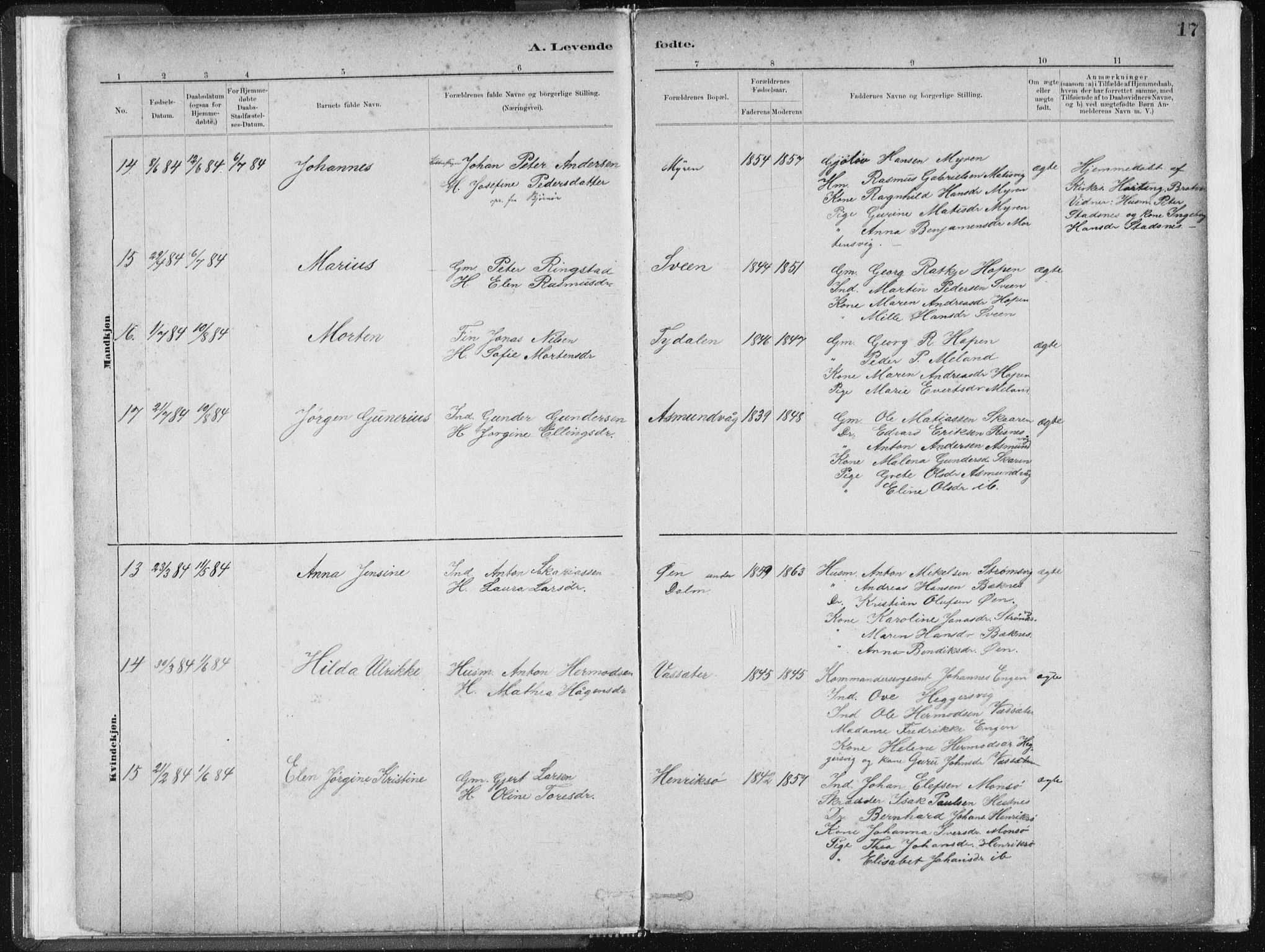 Ministerialprotokoller, klokkerbøker og fødselsregistre - Sør-Trøndelag, SAT/A-1456/634/L0533: Parish register (official) no. 634A09, 1882-1901, p. 17