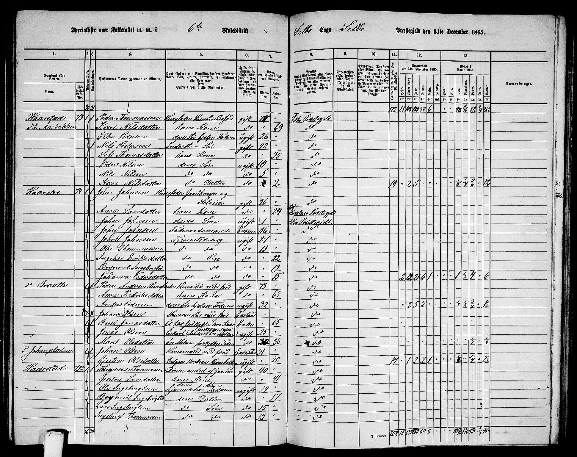 RA, 1865 census for Selbu, 1865, p. 97