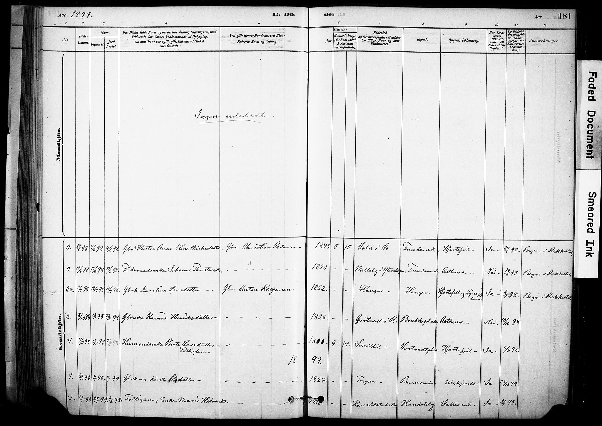 Rakkestad prestekontor Kirkebøker, AV/SAO-A-2008/F/Fc/L0001: Parish register (official) no. III 1, 1878-1905, p. 181