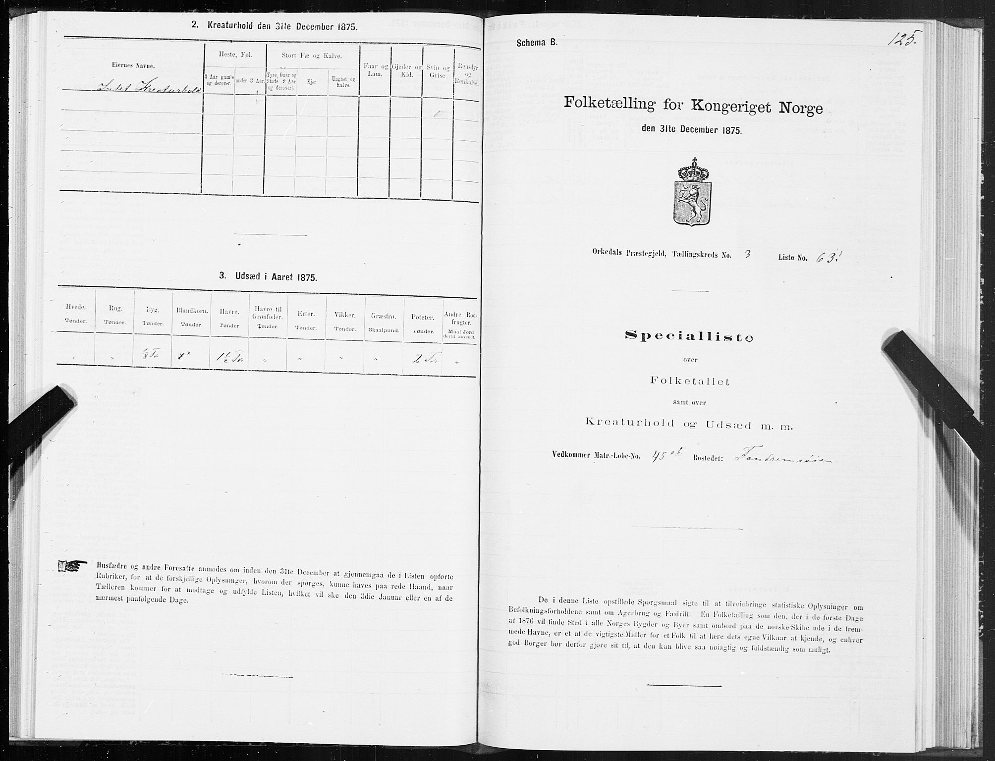 SAT, 1875 census for 1638P Orkdal, 1875, p. 2125