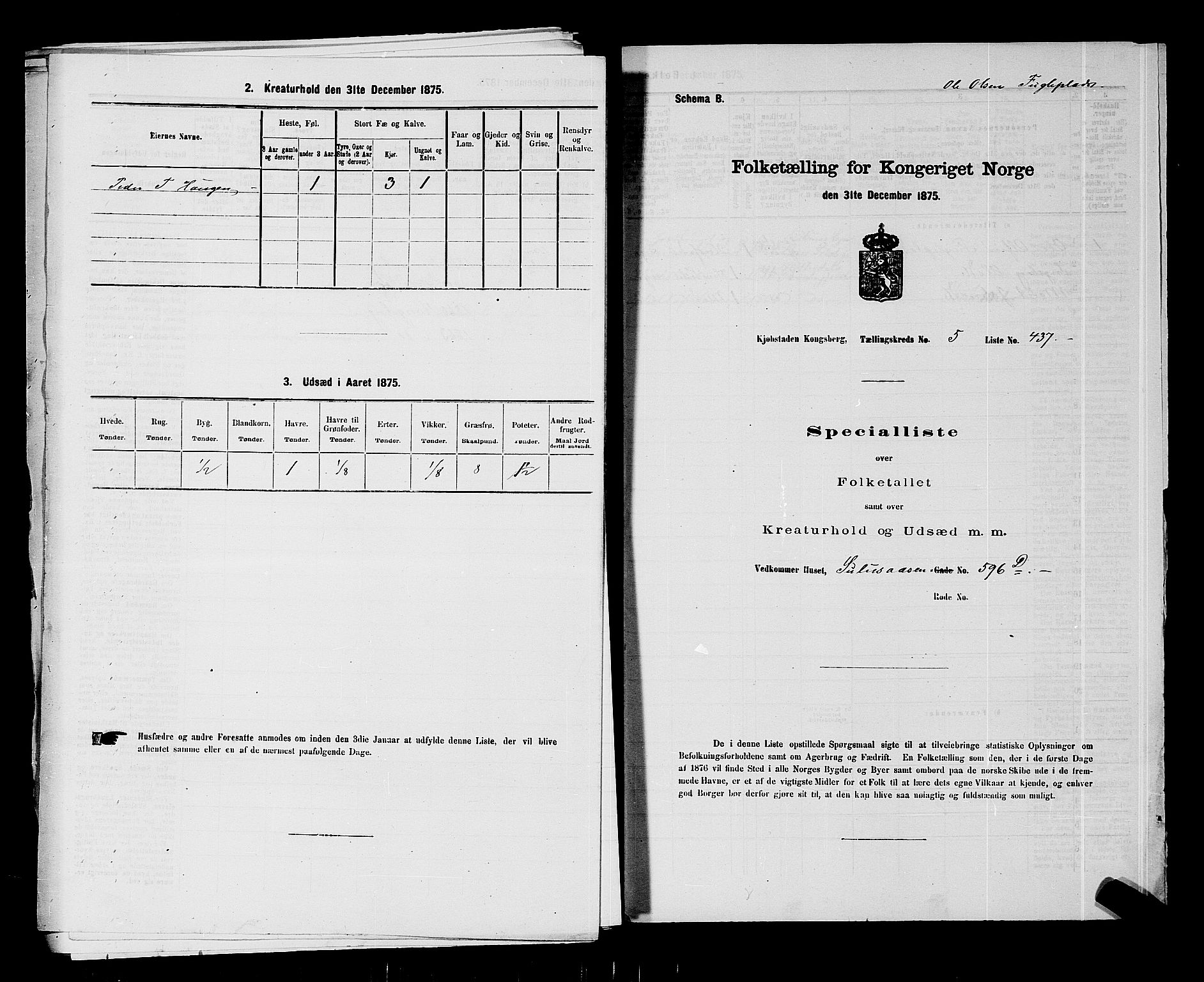 SAKO, 1875 census for 0604B Kongsberg/Kongsberg, 1875, p. 970